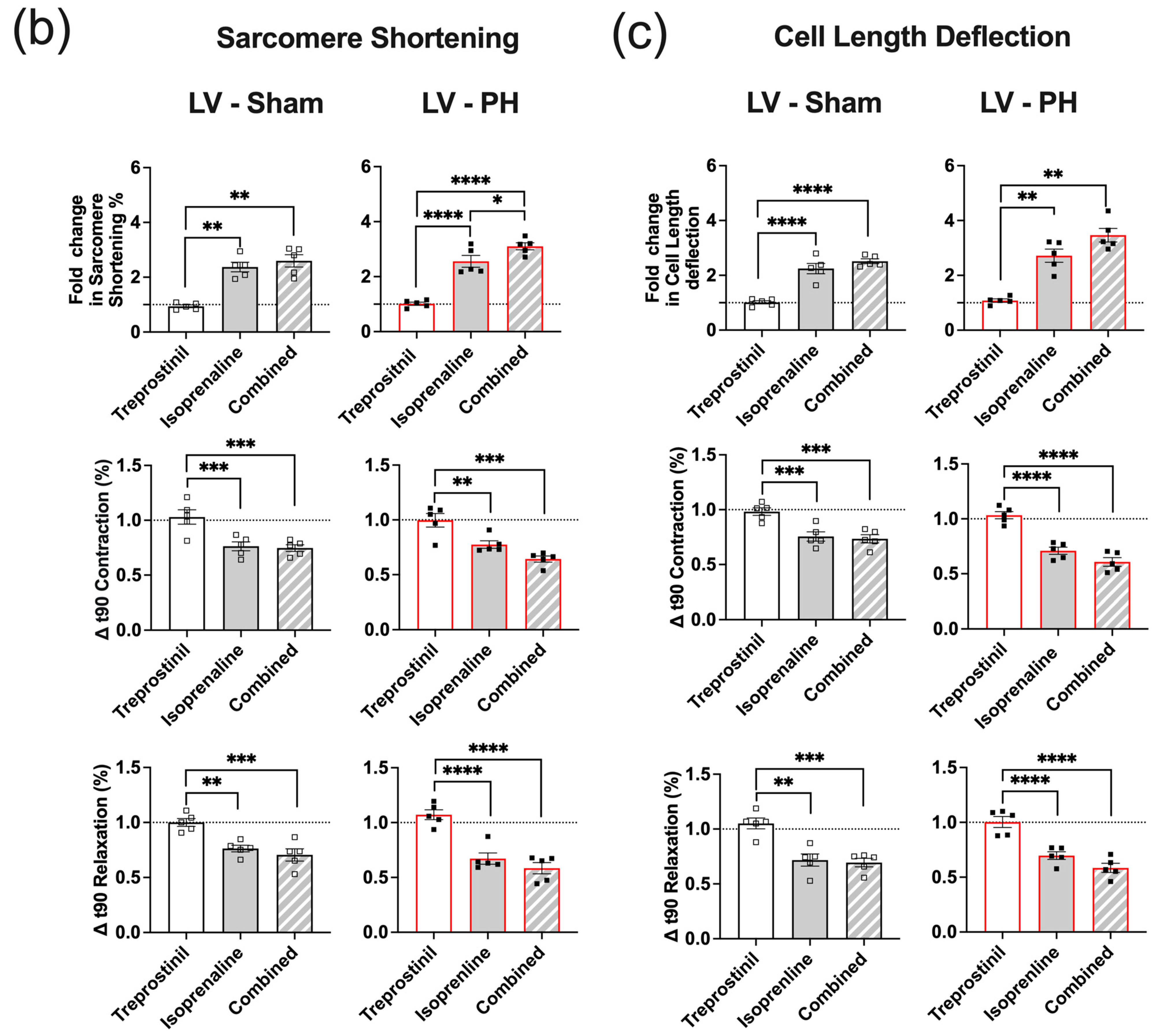 Cells 12 02764 g006b
