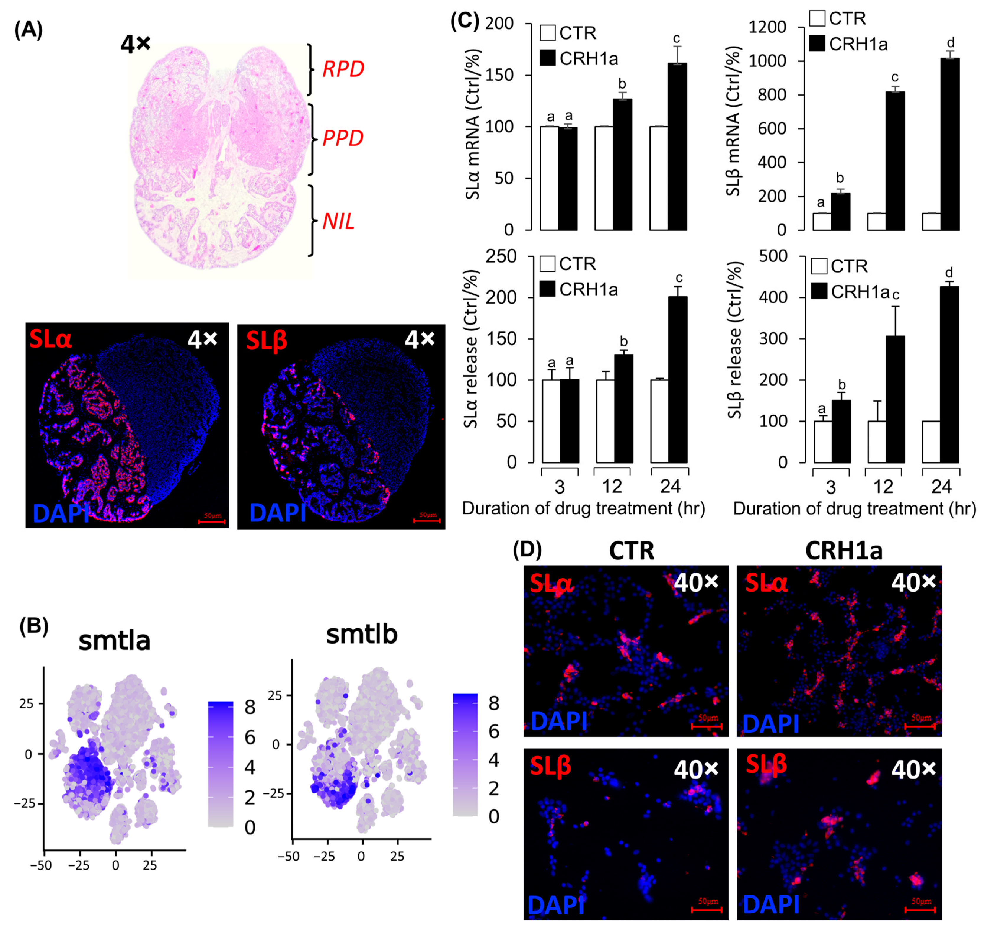 Cells 12 02770 g003 Cells 12 02770 g003