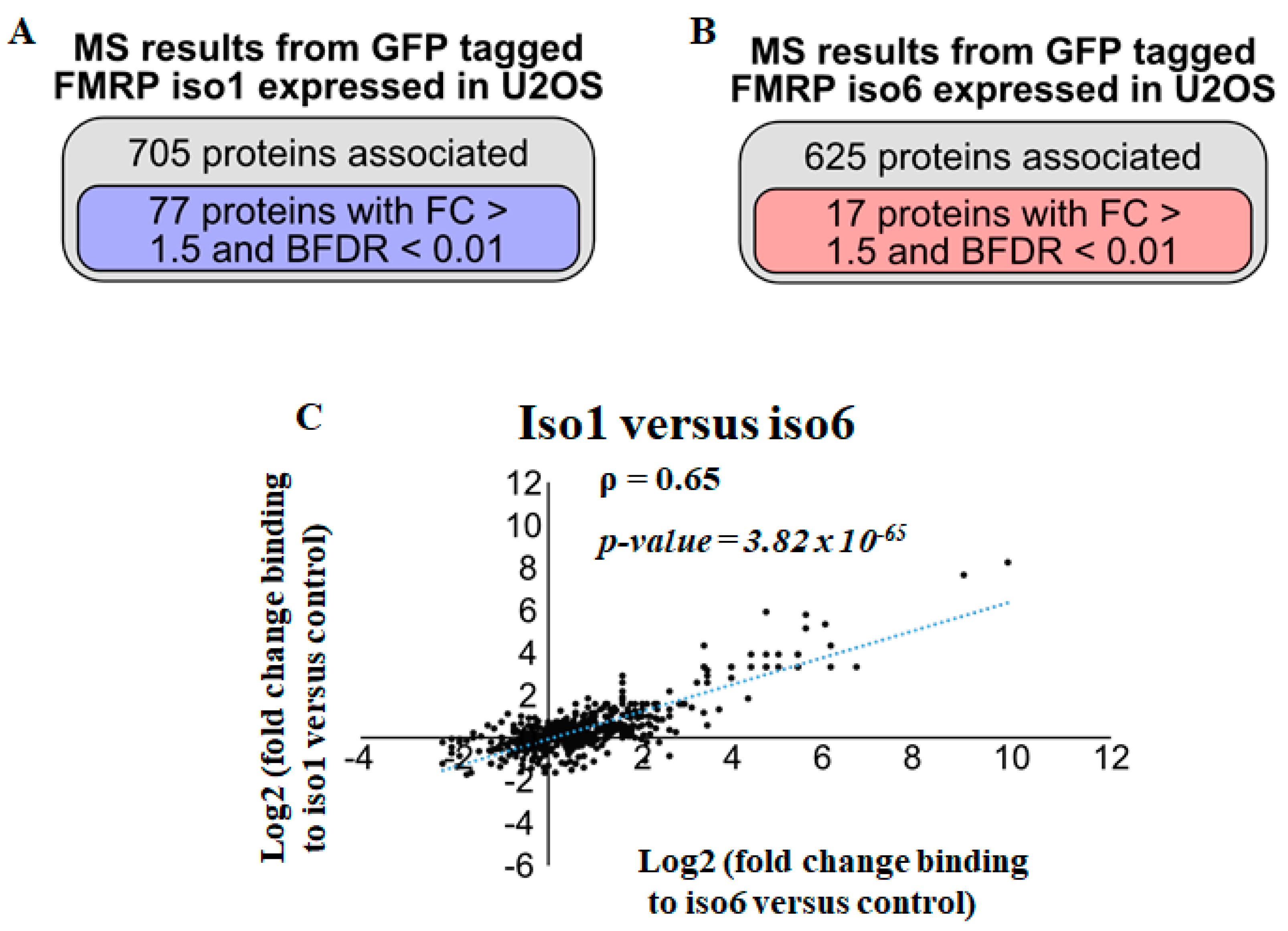 Cells 12 02807 g002 Cells 12 02807 g002