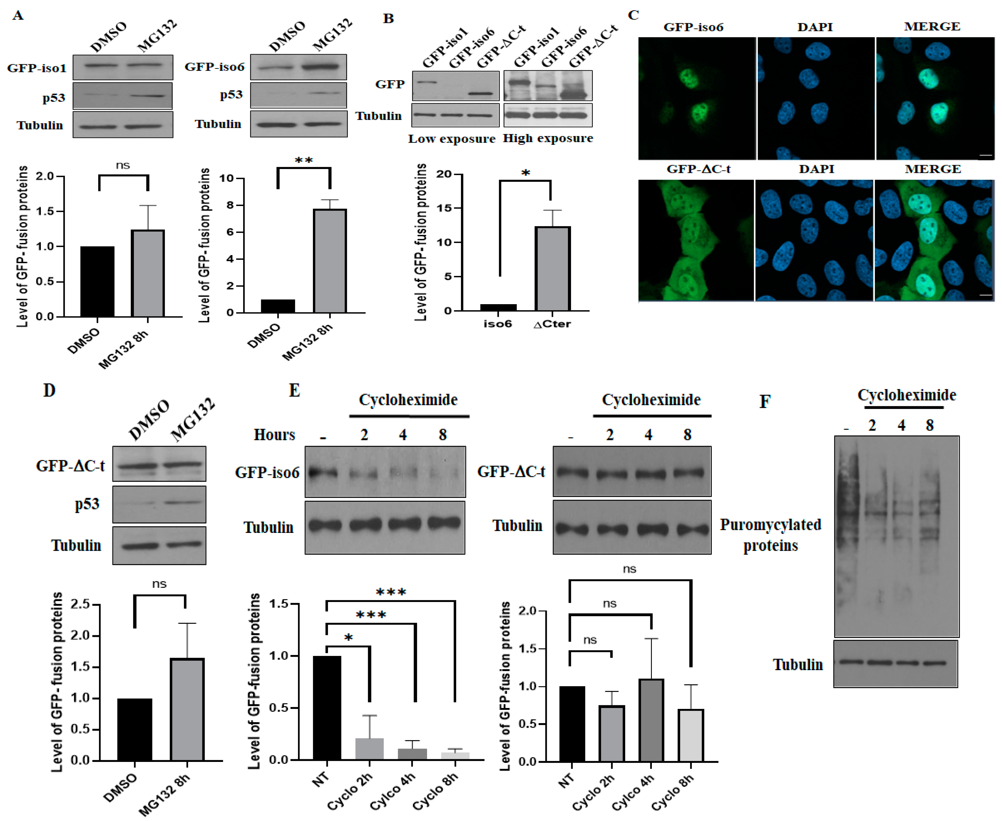 Cells 12 02807 g004 Cells 12 02807 g004