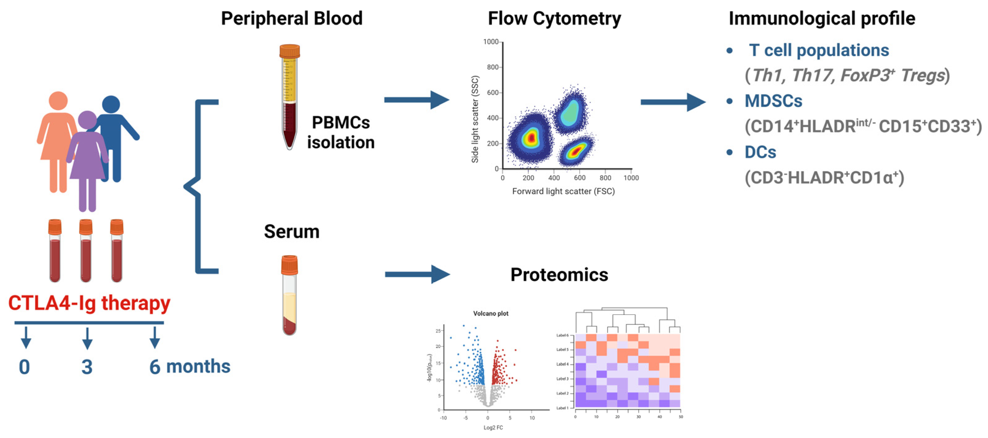 Cells 12 02808 sch001