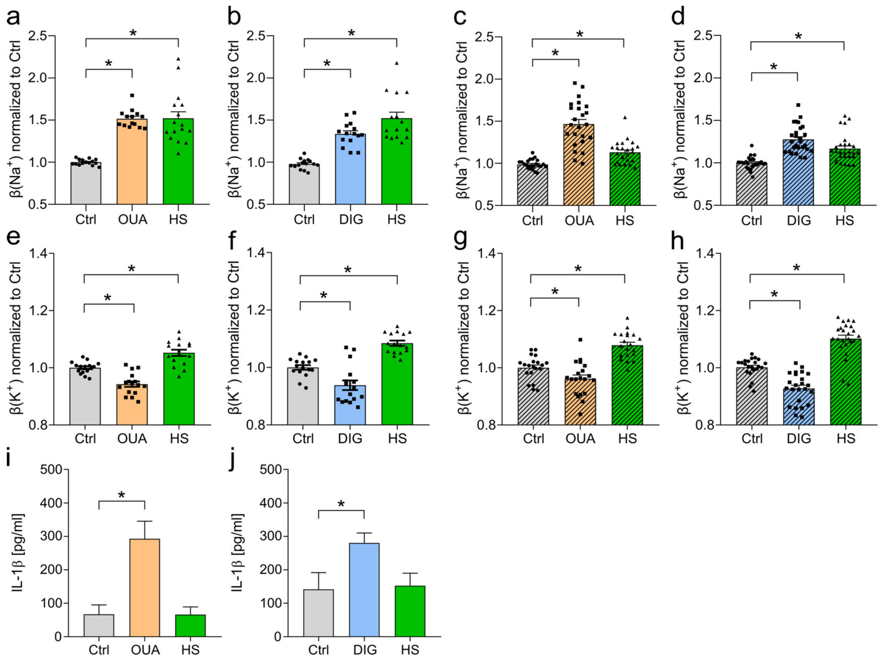 Cells 12 02816 g001 Cells 12 02816 g001