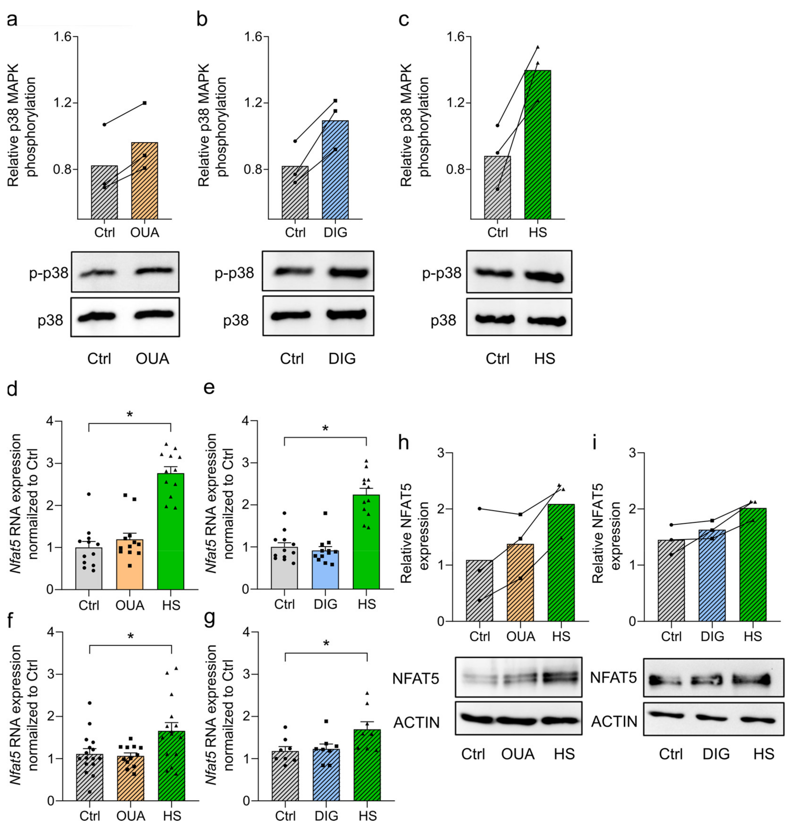 Cells 12 02816 g003 Cells 12 02816 g003