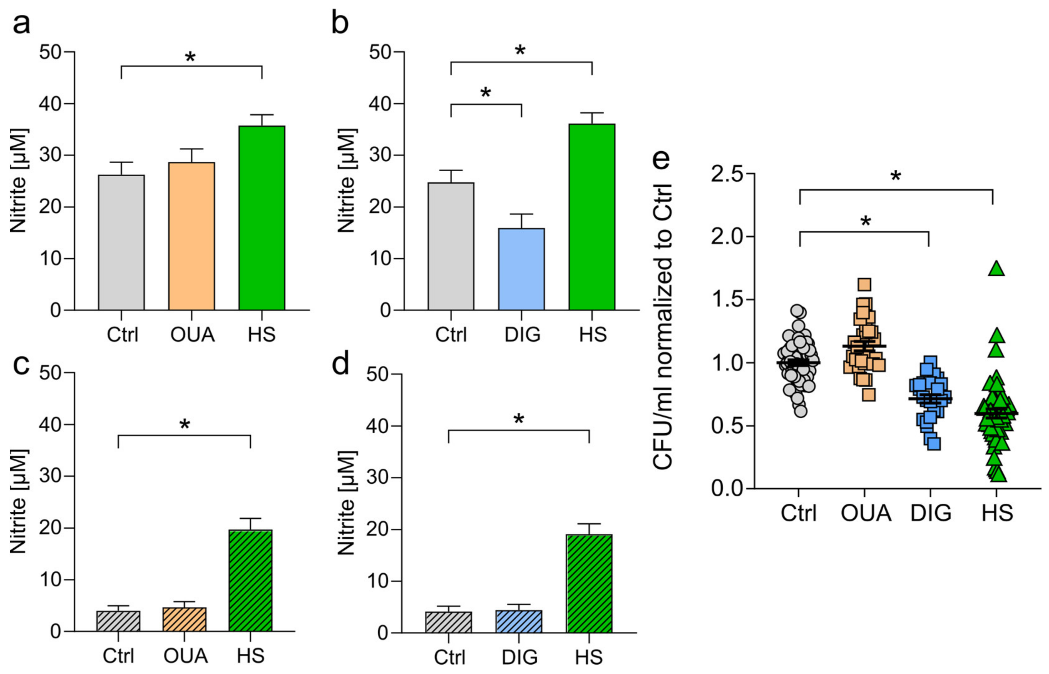Cells 12 02816 g004 Cells 12 02816 g004