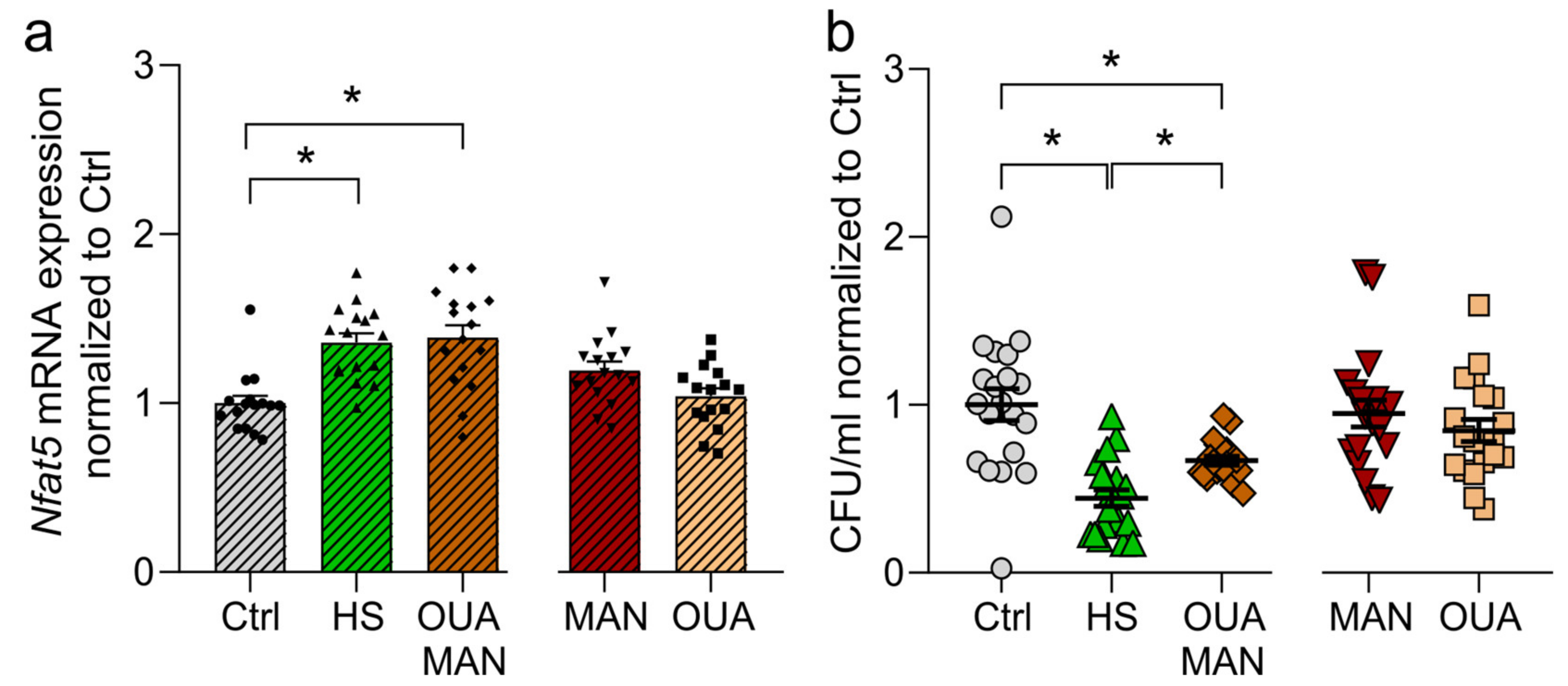 Cells 12 02816 g005 Cells 12 02816 g005