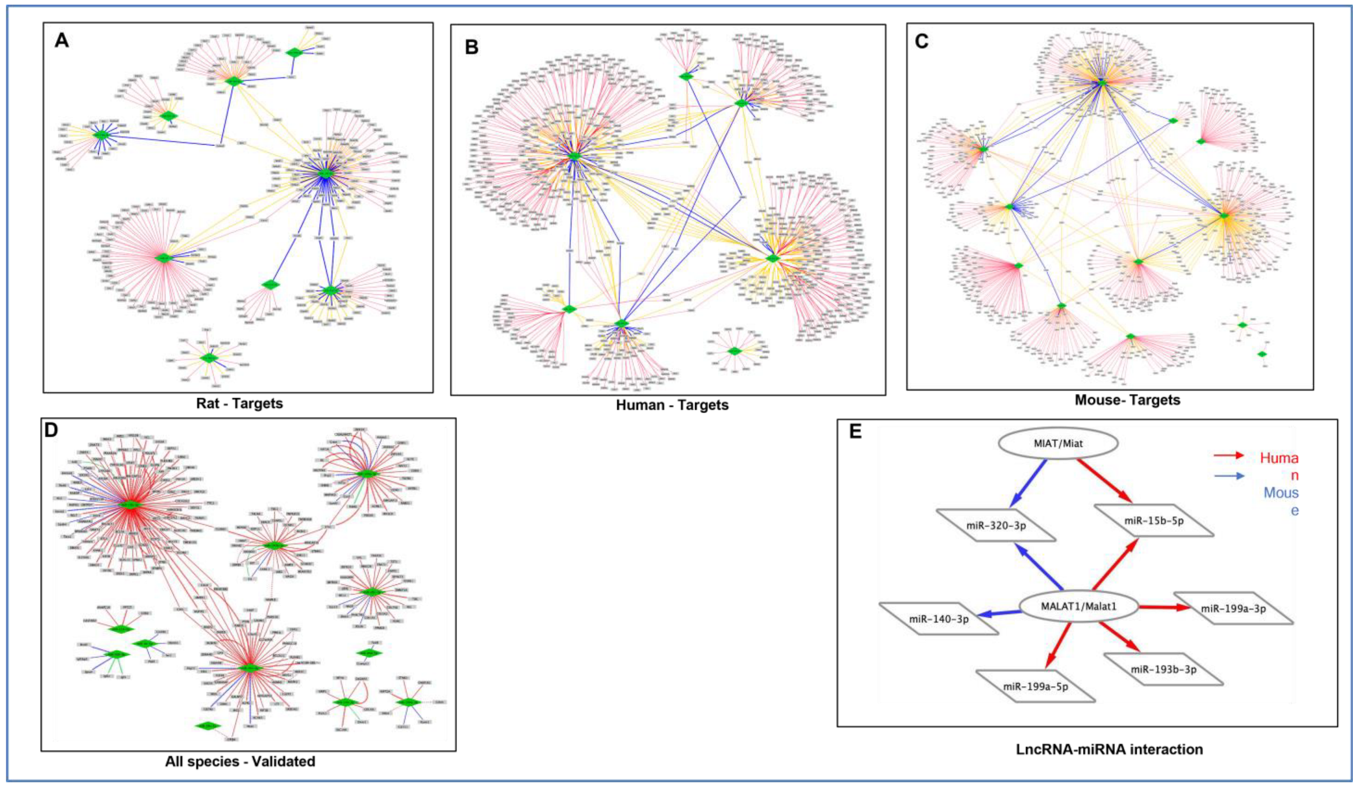 Cells 12 02820 g005 Cells 12 02820 g005