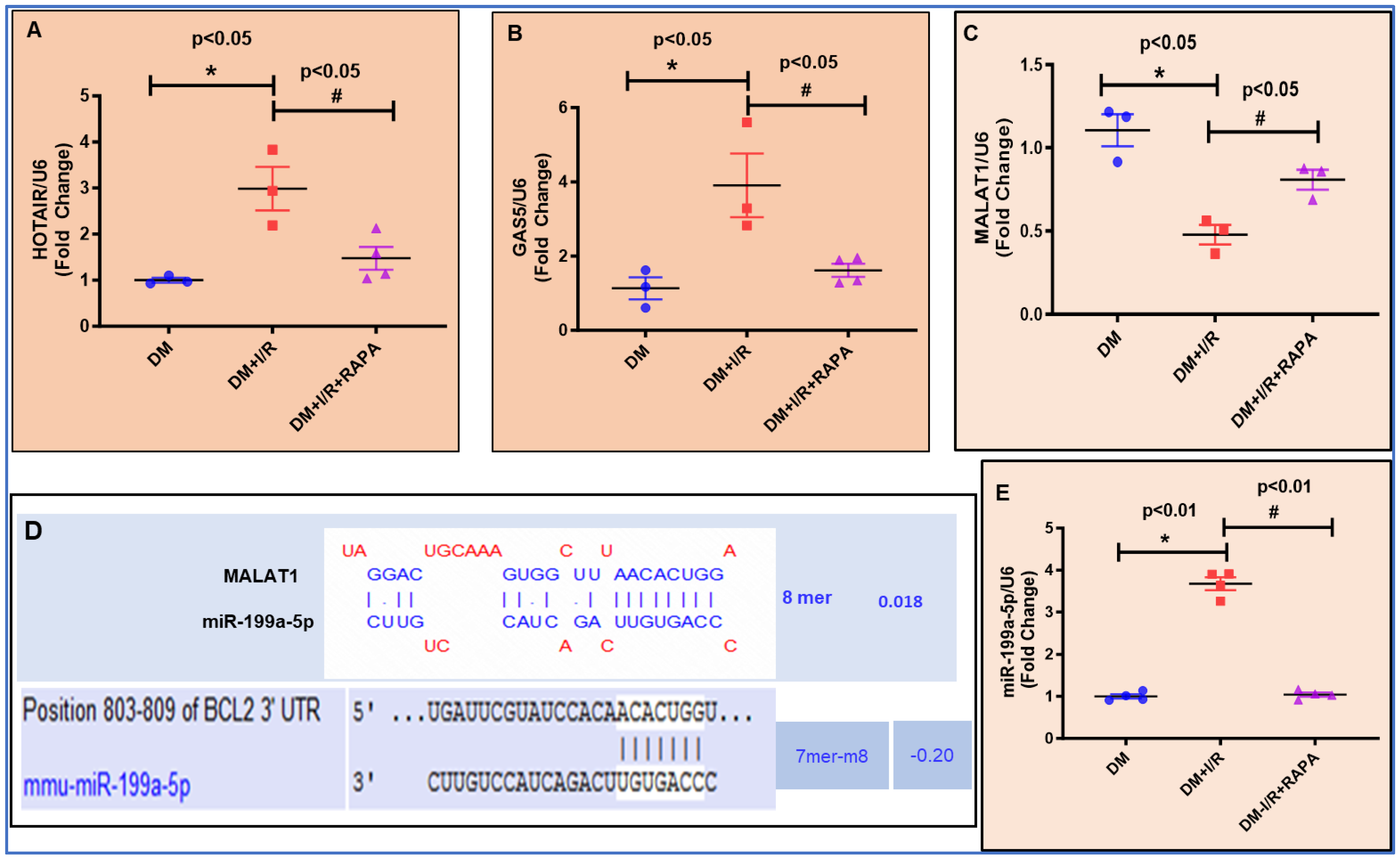 CHANGE Integrated Analysis of lncRNA–miRNA–mRNA Regulatory Network