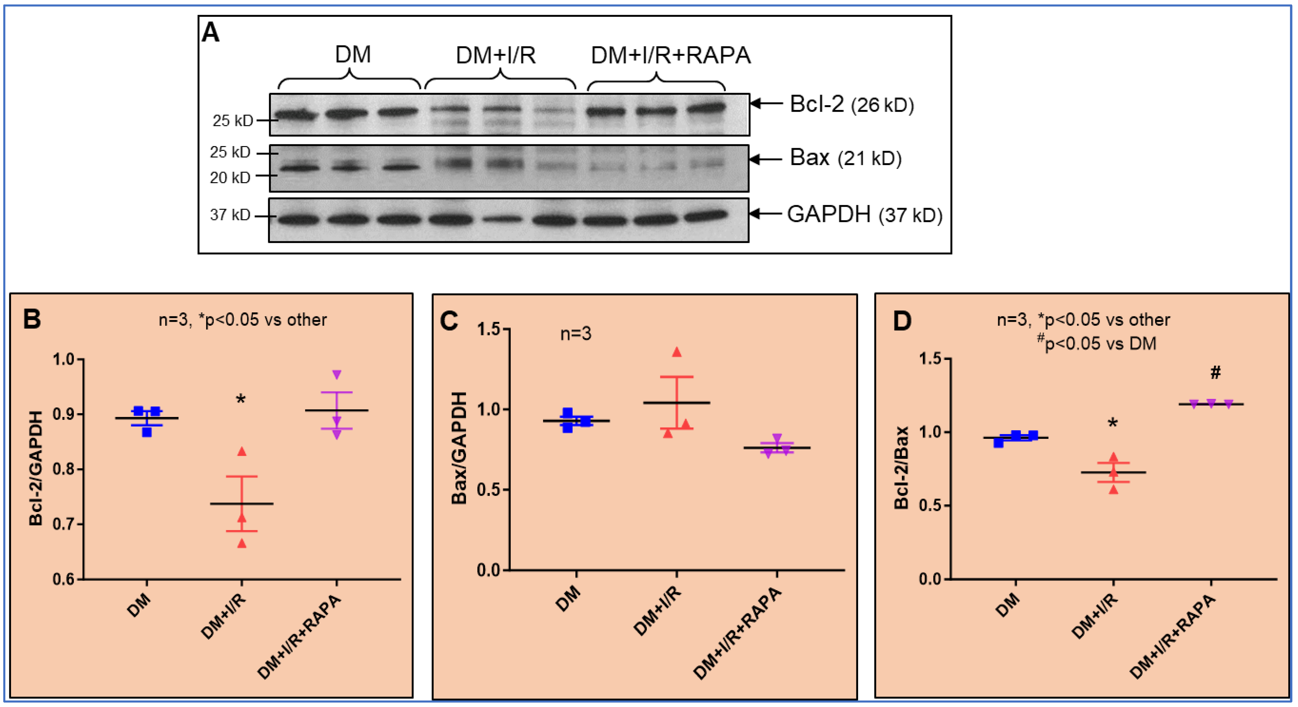Cells 12 02820 g007 Cells 12 02820 g007