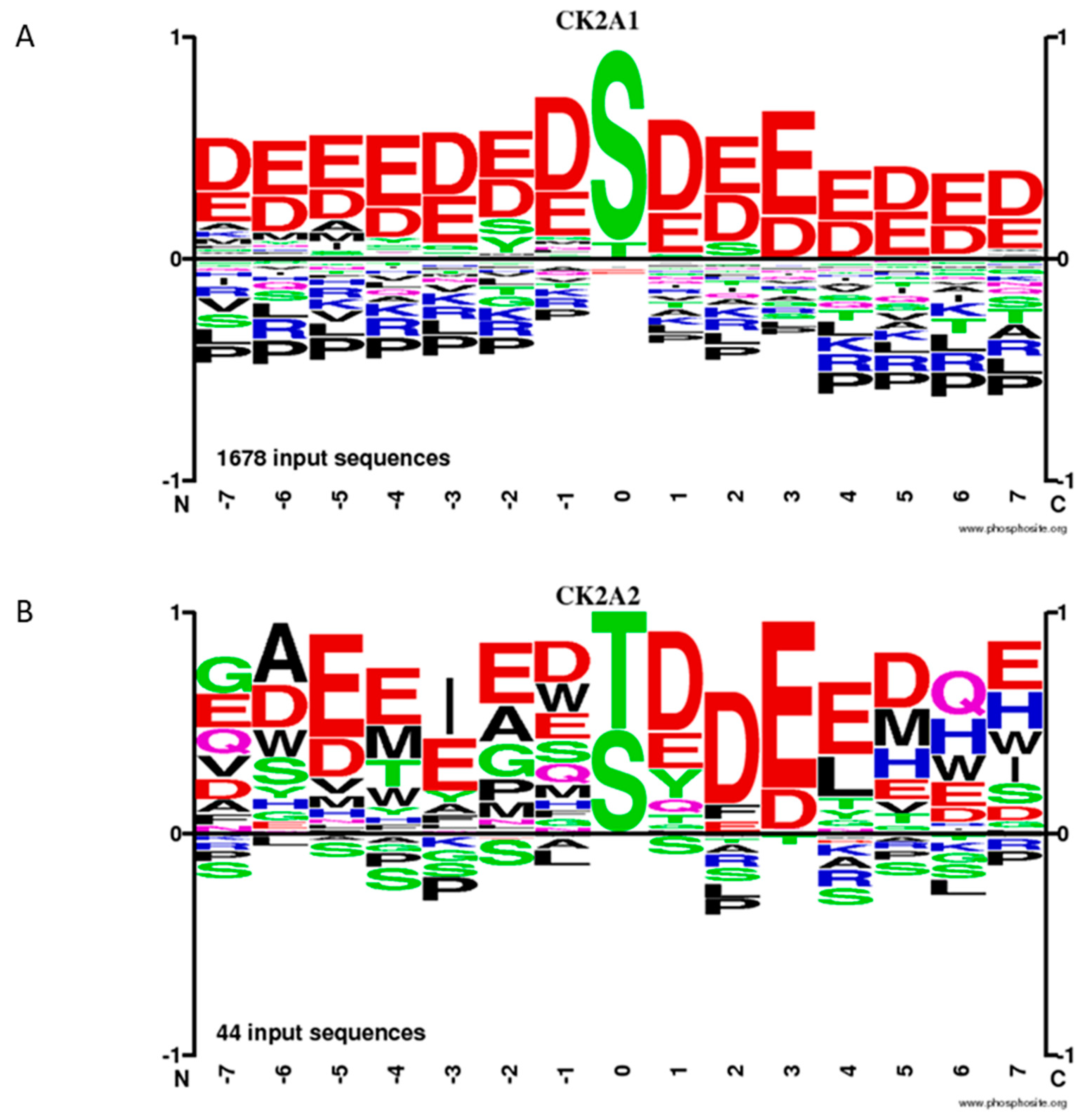 Cells 12 02834 g002 Cells 12 02834 g002