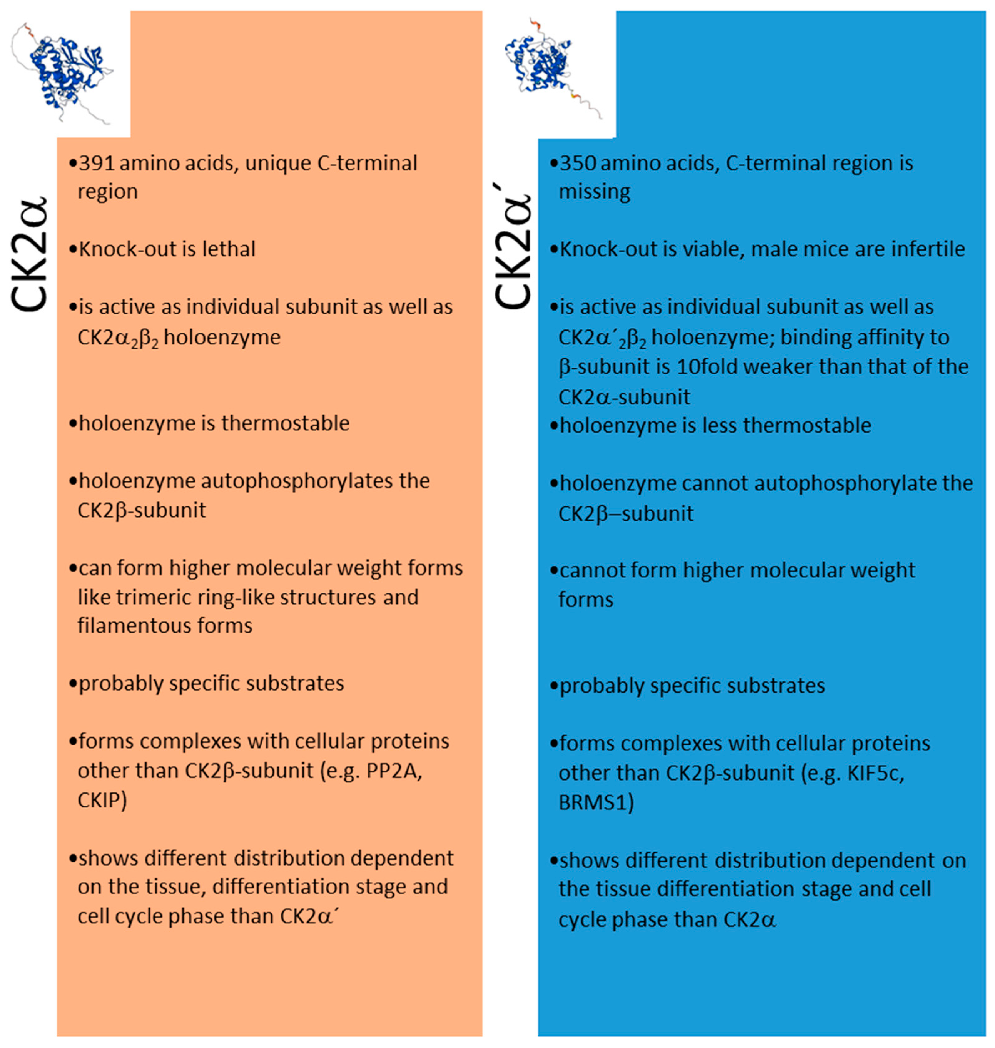 Cells 12 02834 g003 Cells 12 02834 g003
