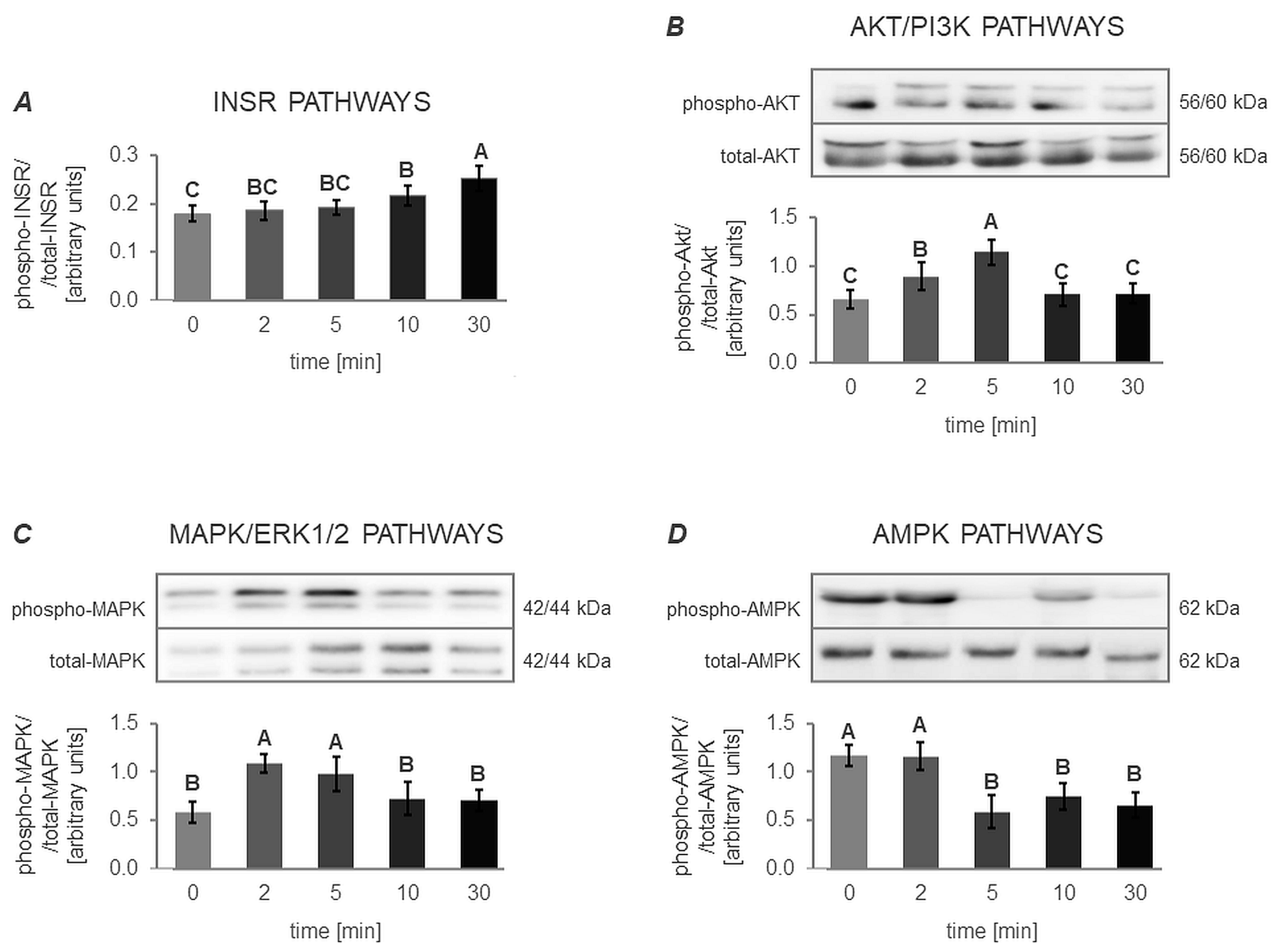 Cells 12 02835 g011 Cells 12 02835 g011