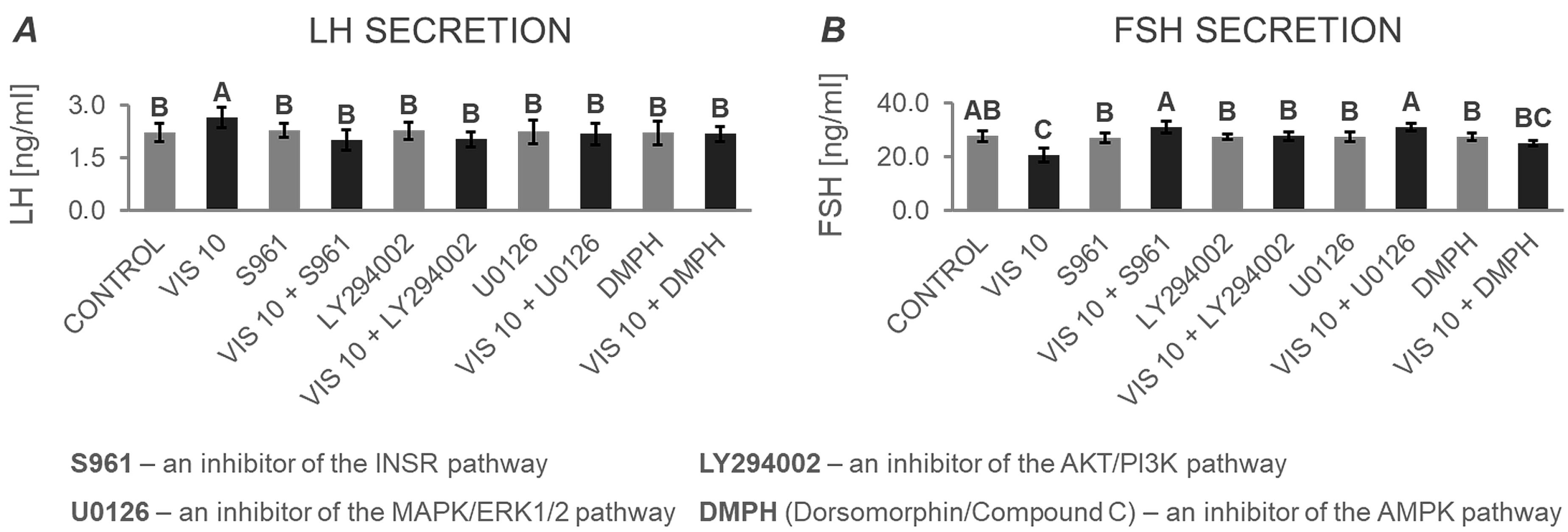 Cells 12 02835 g012 Cells 12 02835 g012