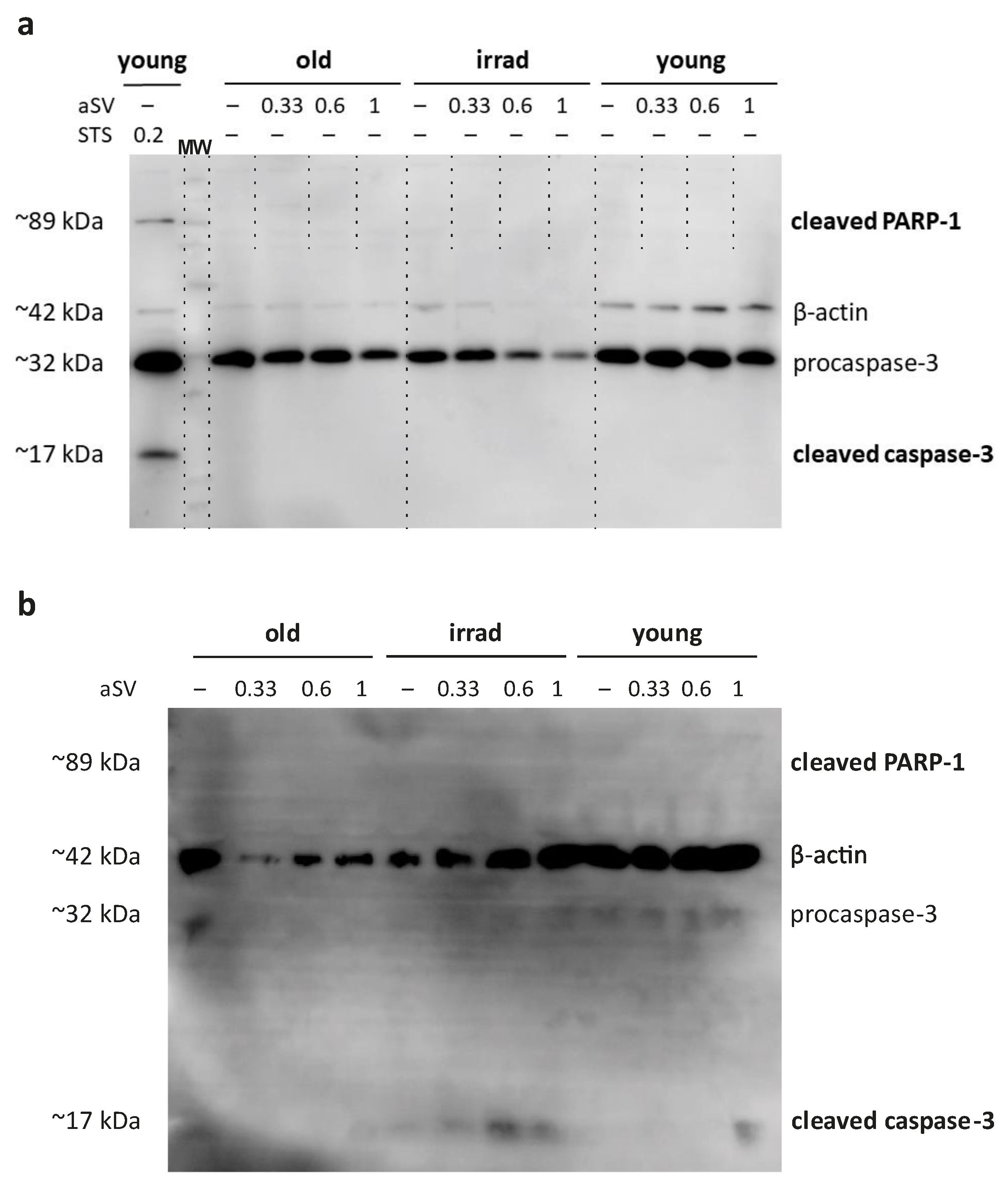 Cells 12 02836 g005