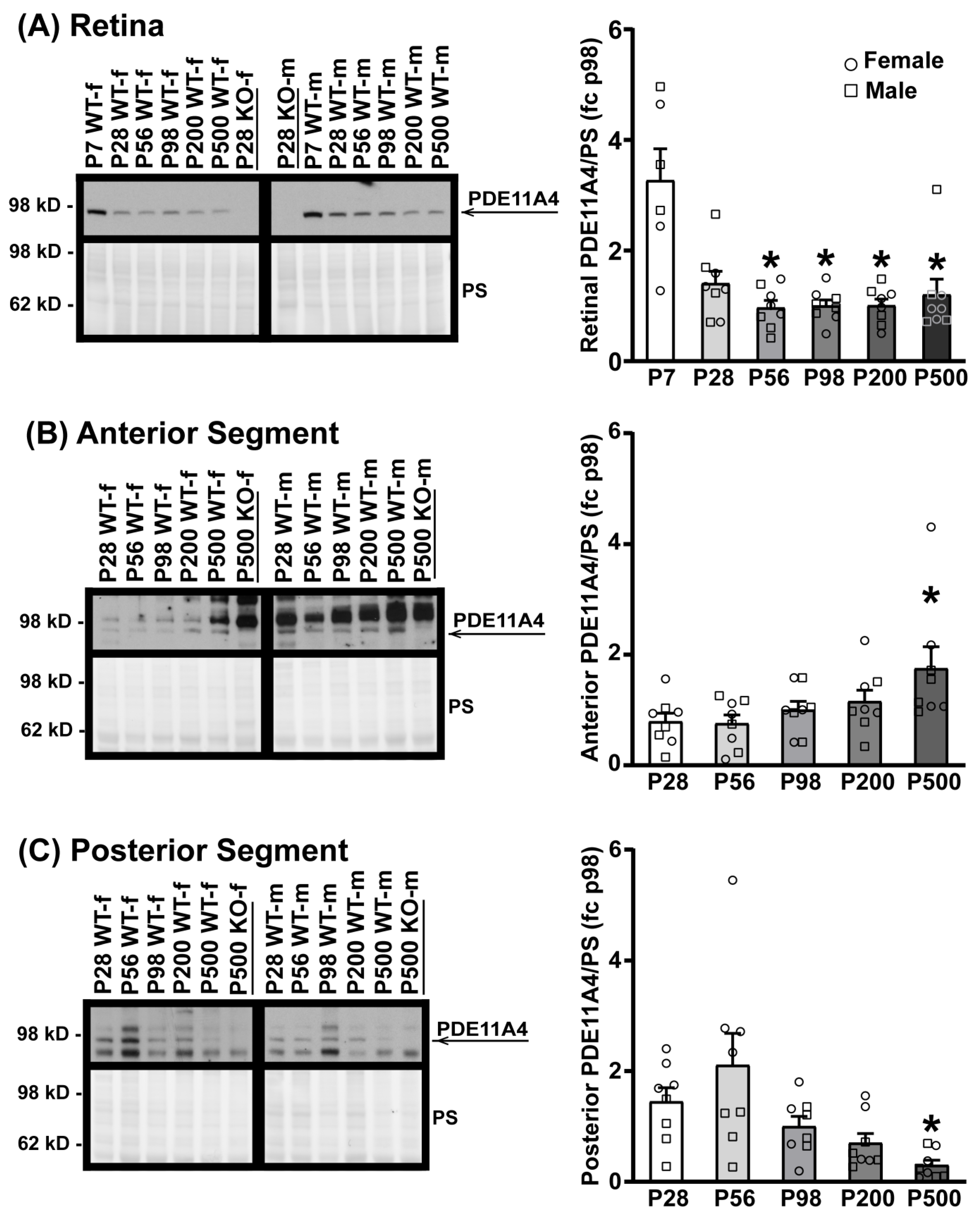 Cells 12 02839 g002 Cells 12 02839 g002