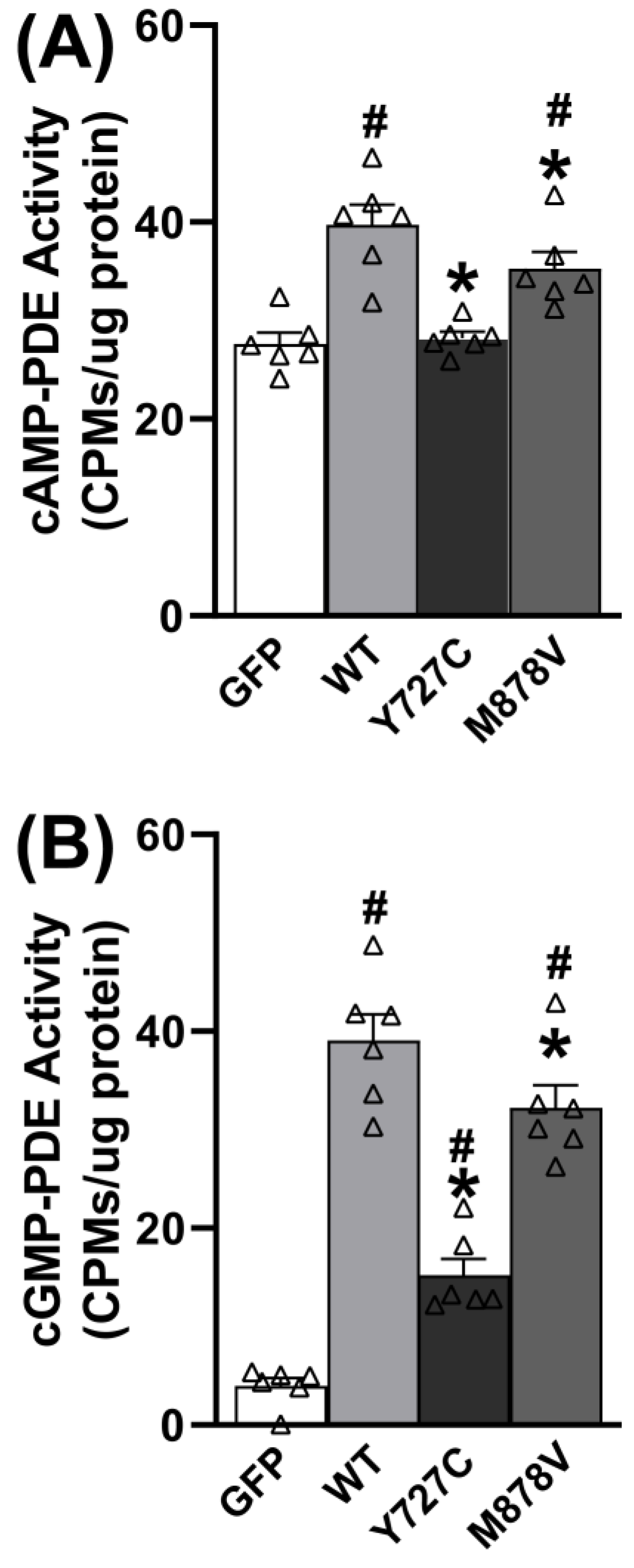 Cells 12 02839 g003 Cells 12 02839 g003
