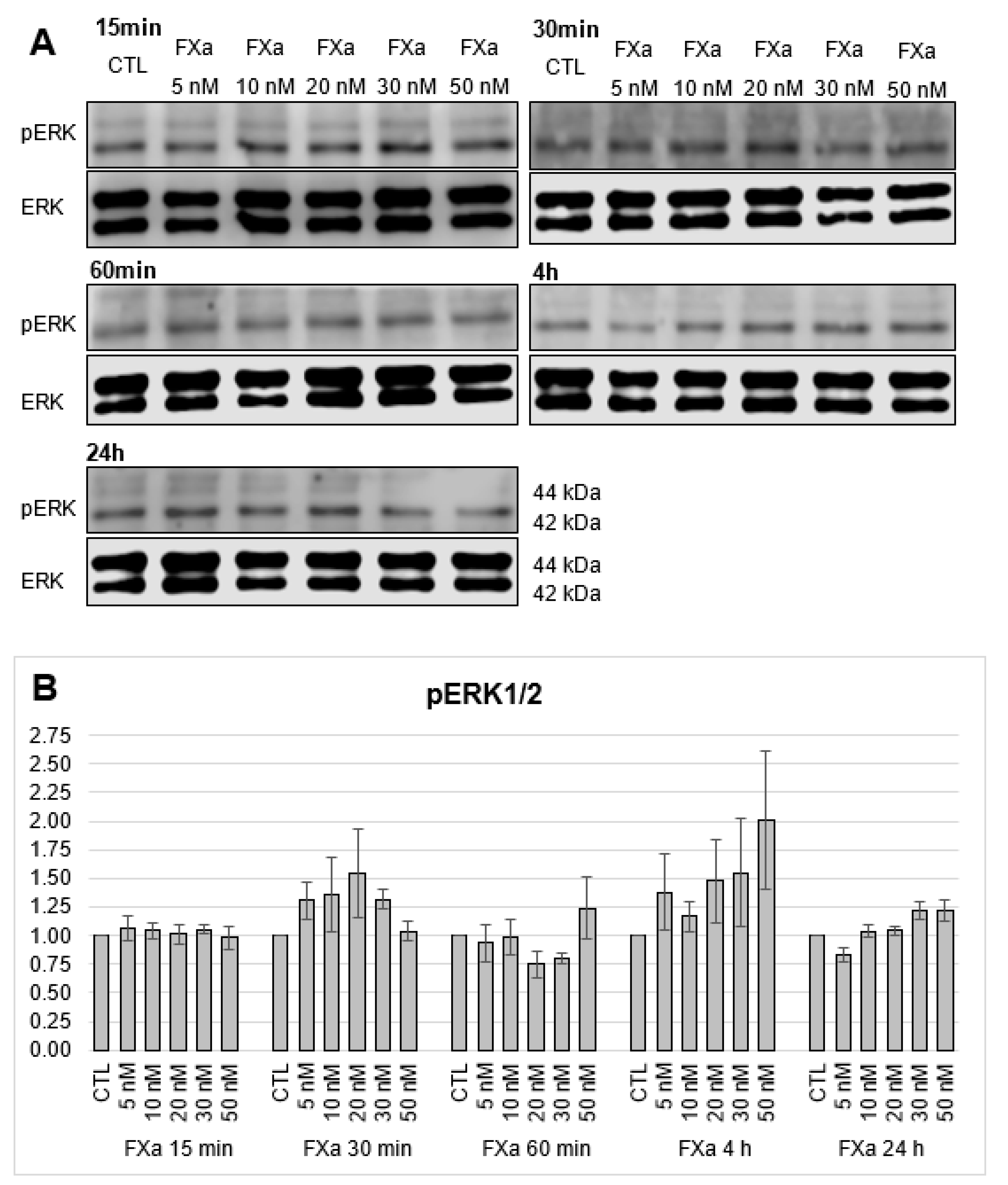 Cells 12 02849 g007 Cells 12 02849 g007