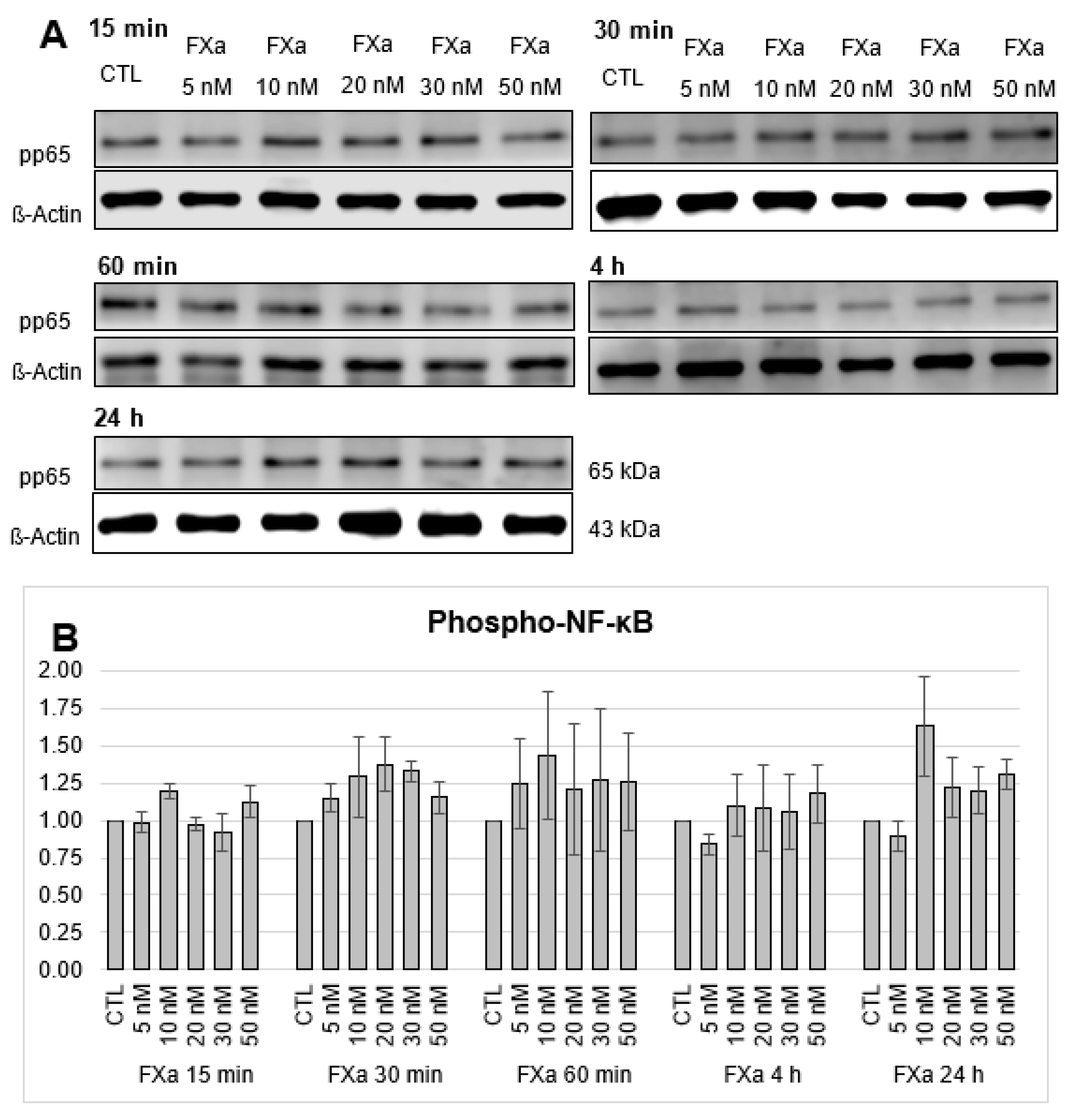 Cells 12 02849 g008 Cells 12 02849 g008