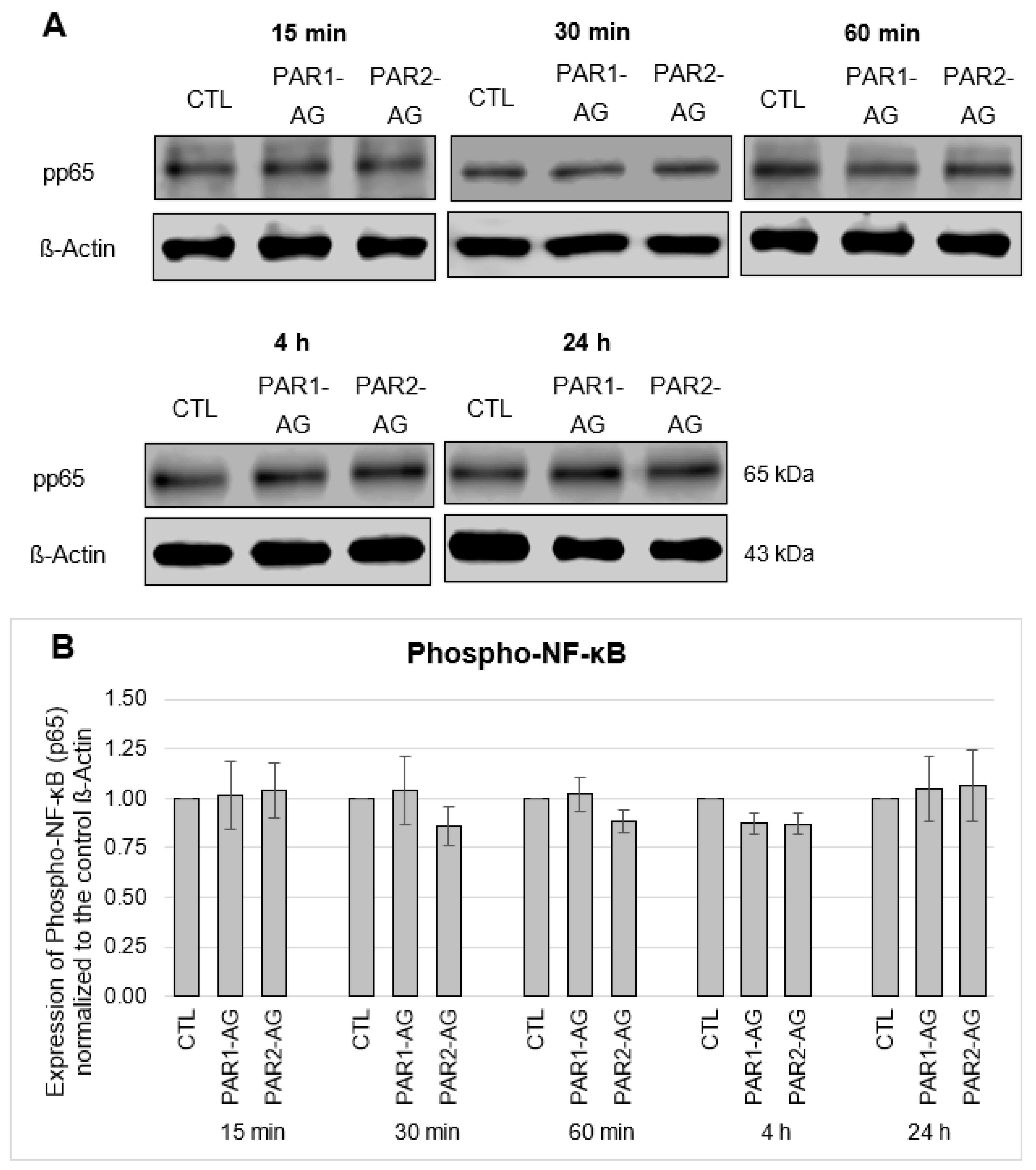 Cells 12 02849 g009 Cells 12 02849 g009