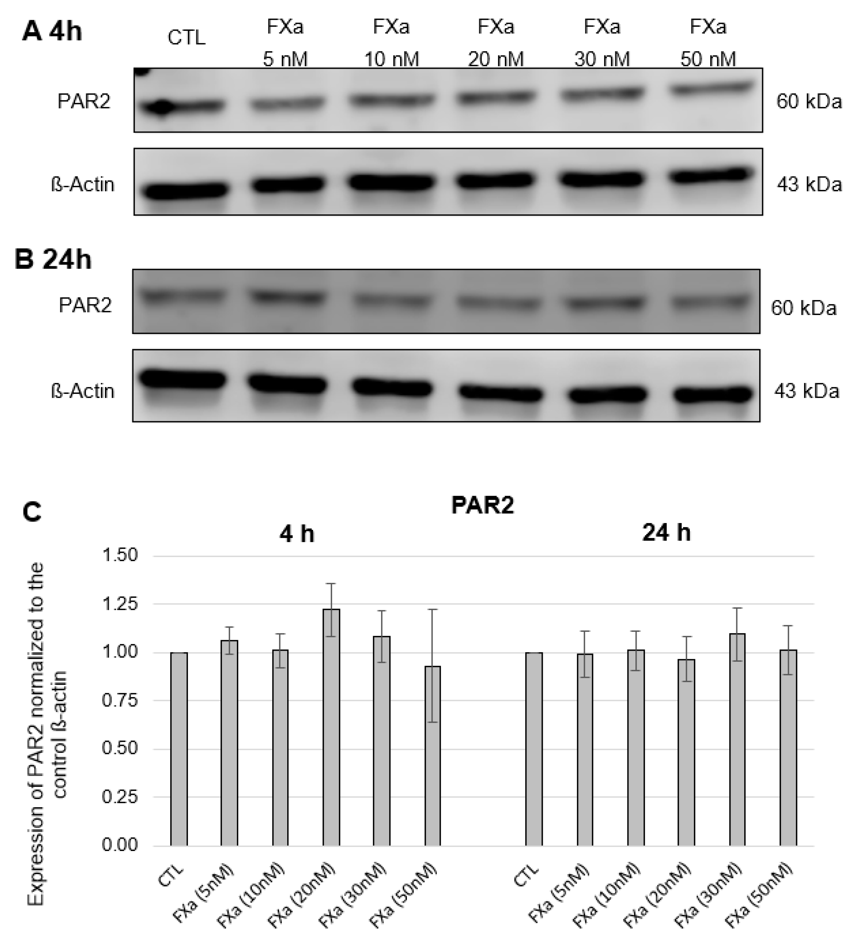 Cells 12 02849 g0a1 Cells 12 02849 g0a1