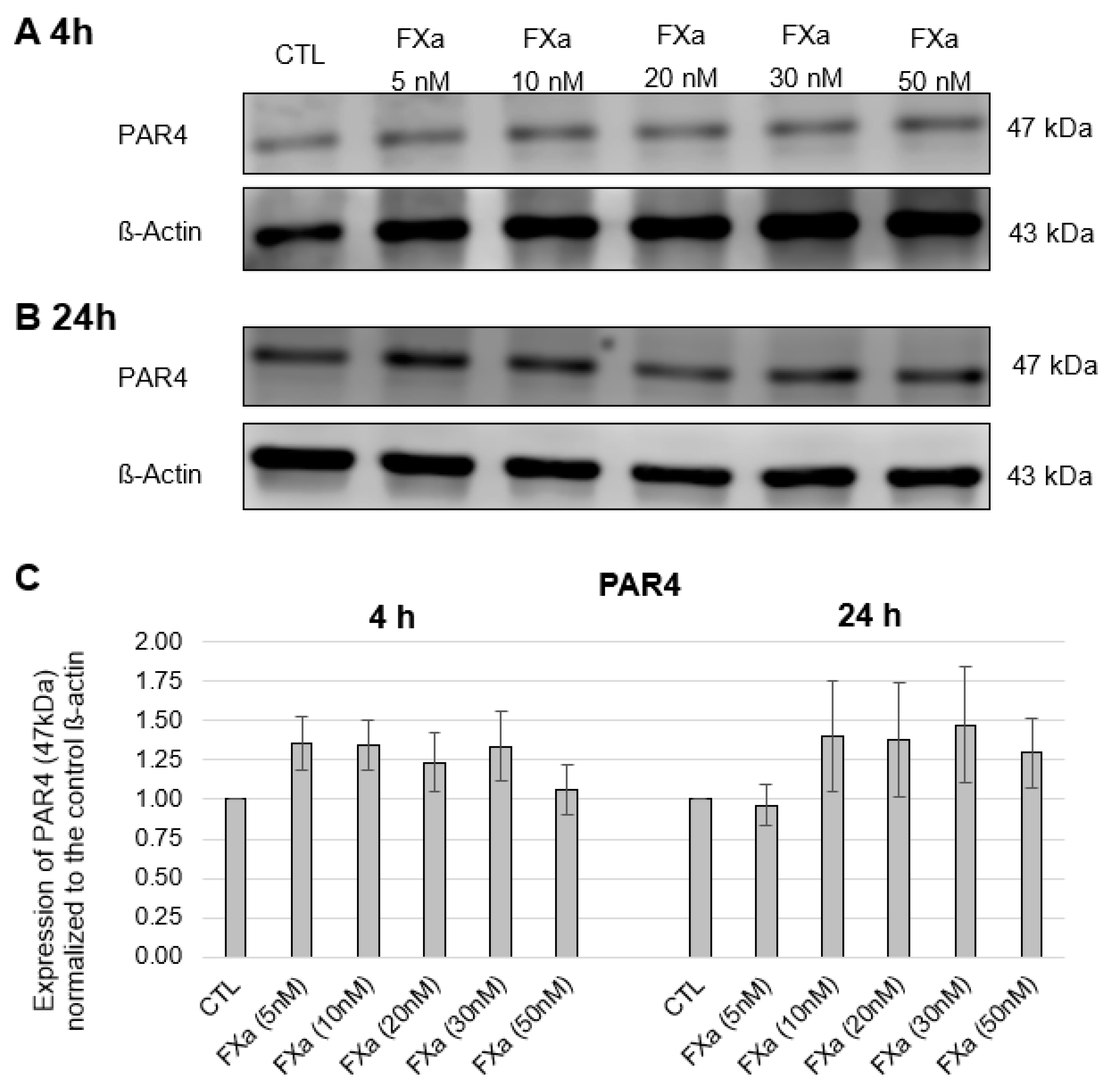 Cells 12 02849 g0a2 Cells 12 02849 g0a2