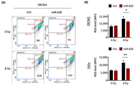 MiR-630 Promotes Radioresistance by Induction of Anti
