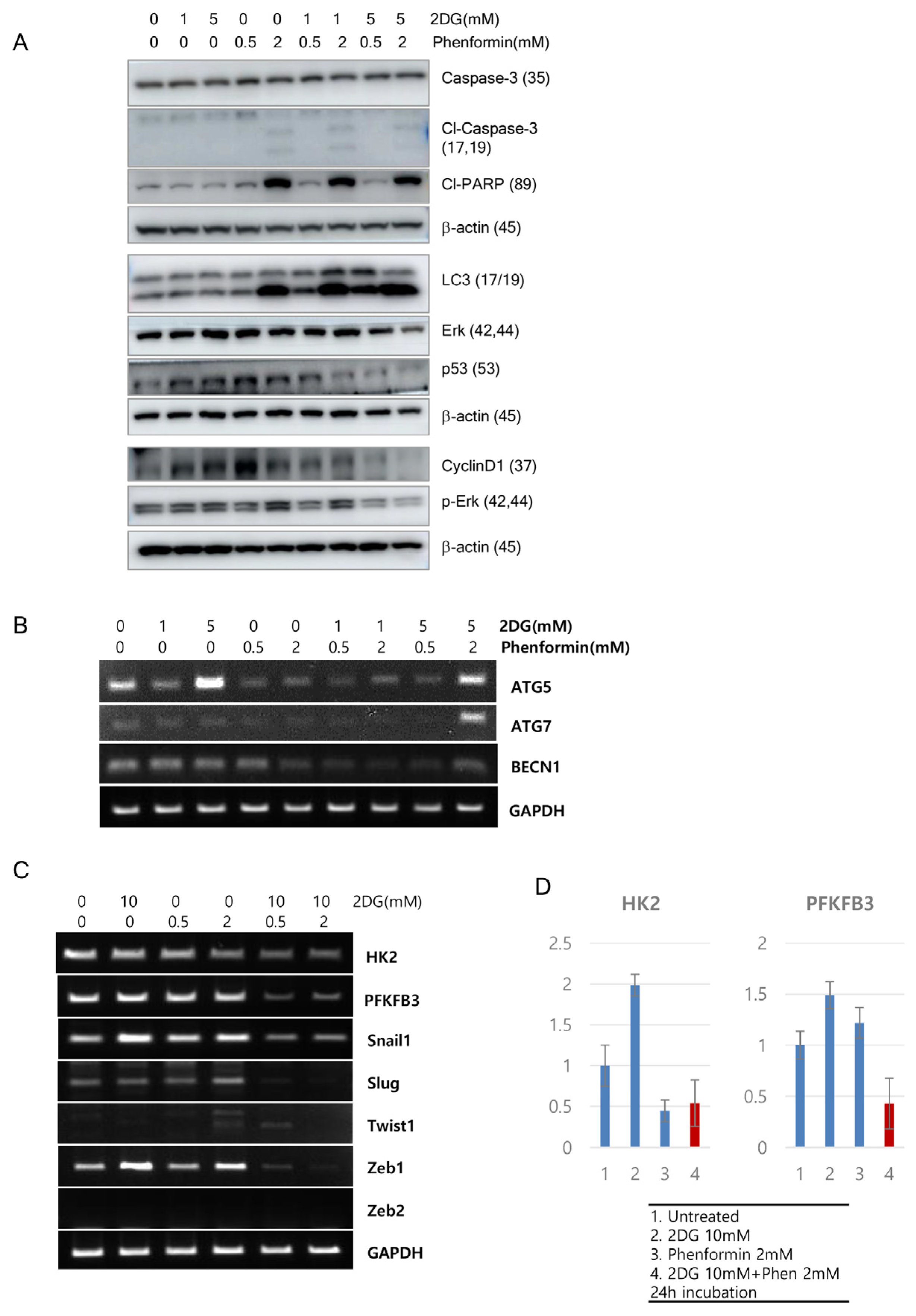 Cells 12 02859 g003 Cells 12 02859 g003