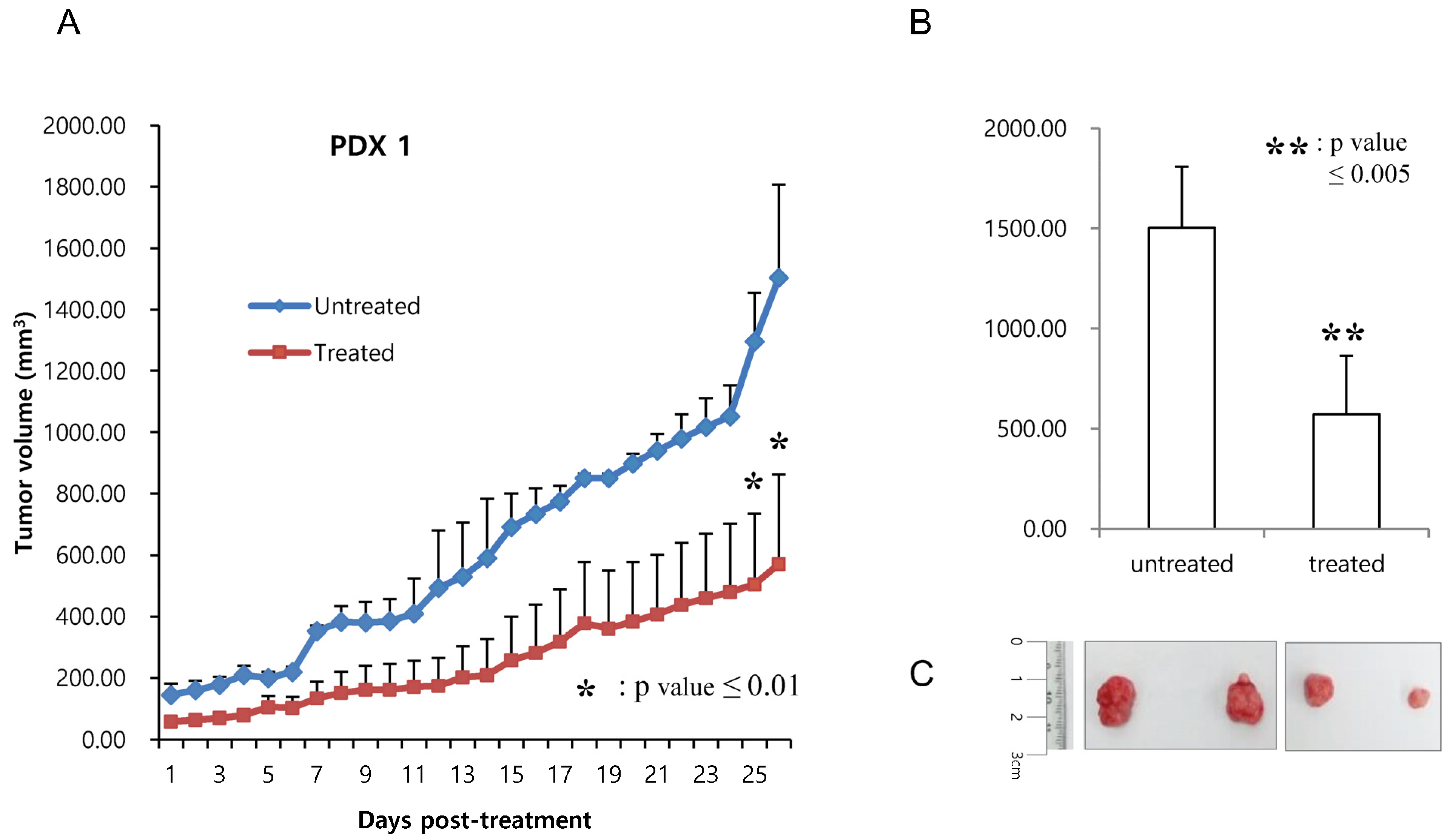 Cells 12 02859 g005 Cells 12 02859 g005