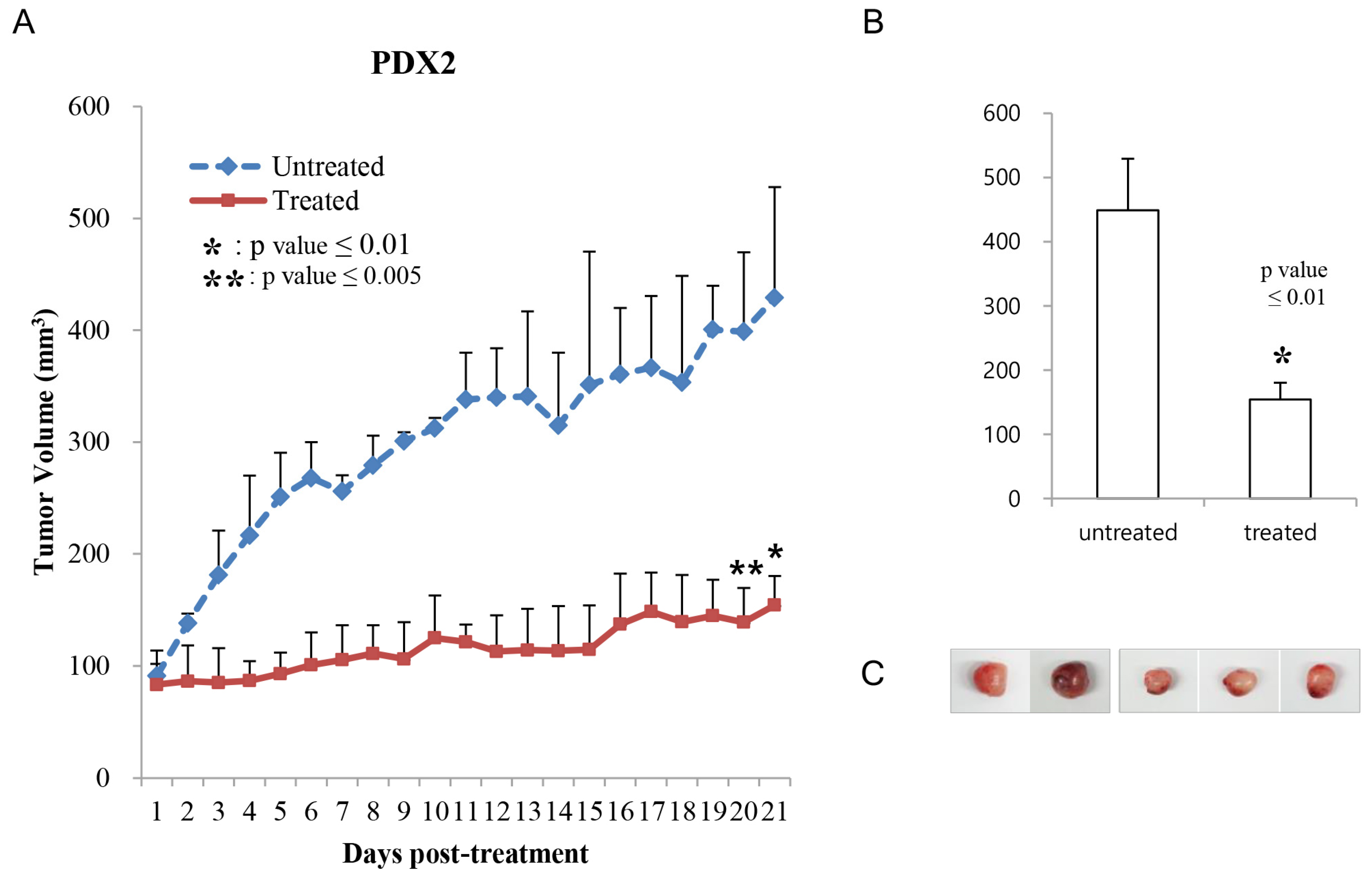 Cells 12 02859 g006 Cells 12 02859 g006