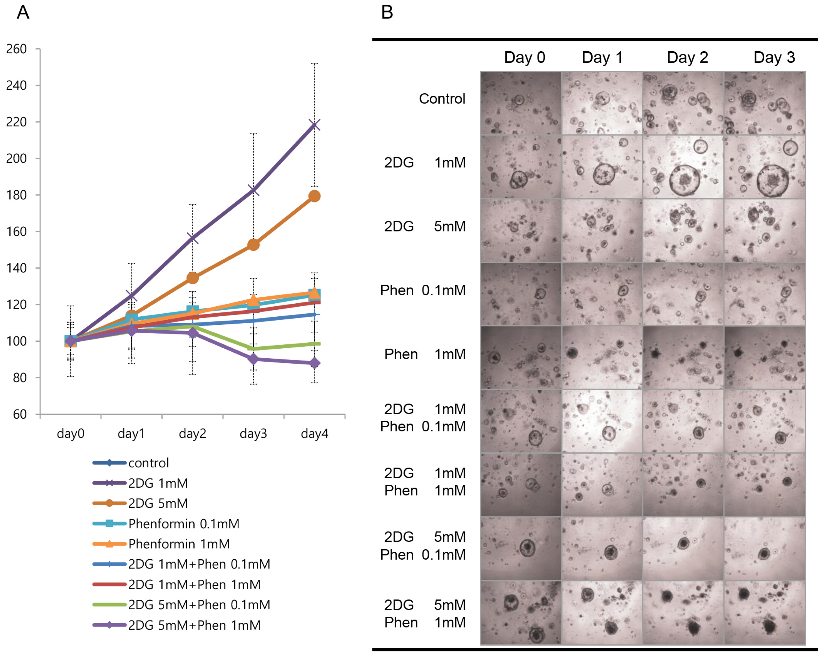 Cells 12 02859 g008 Cells 12 02859 g008