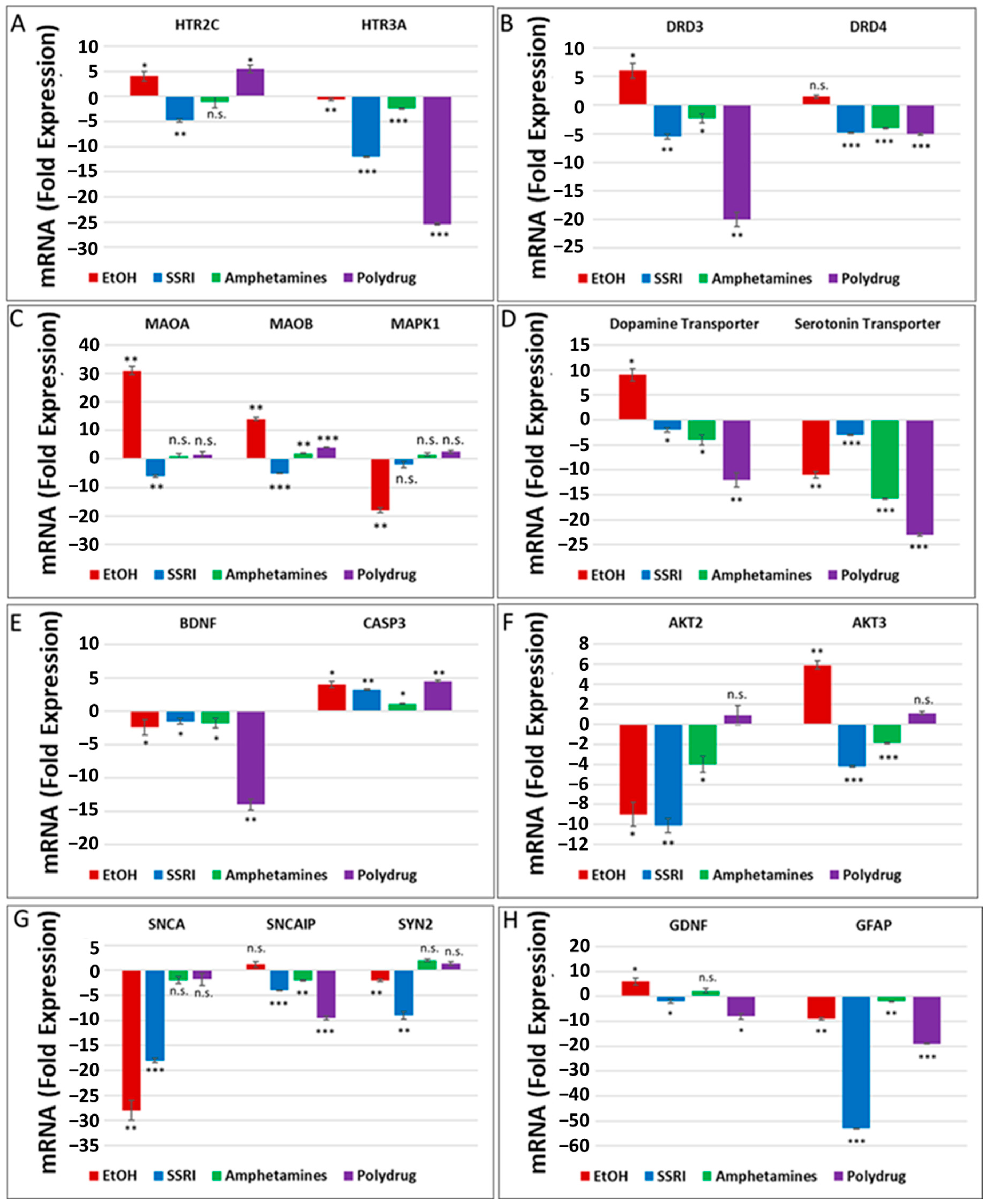 Cells 13 00002 g002 Cells 13 00002 g002