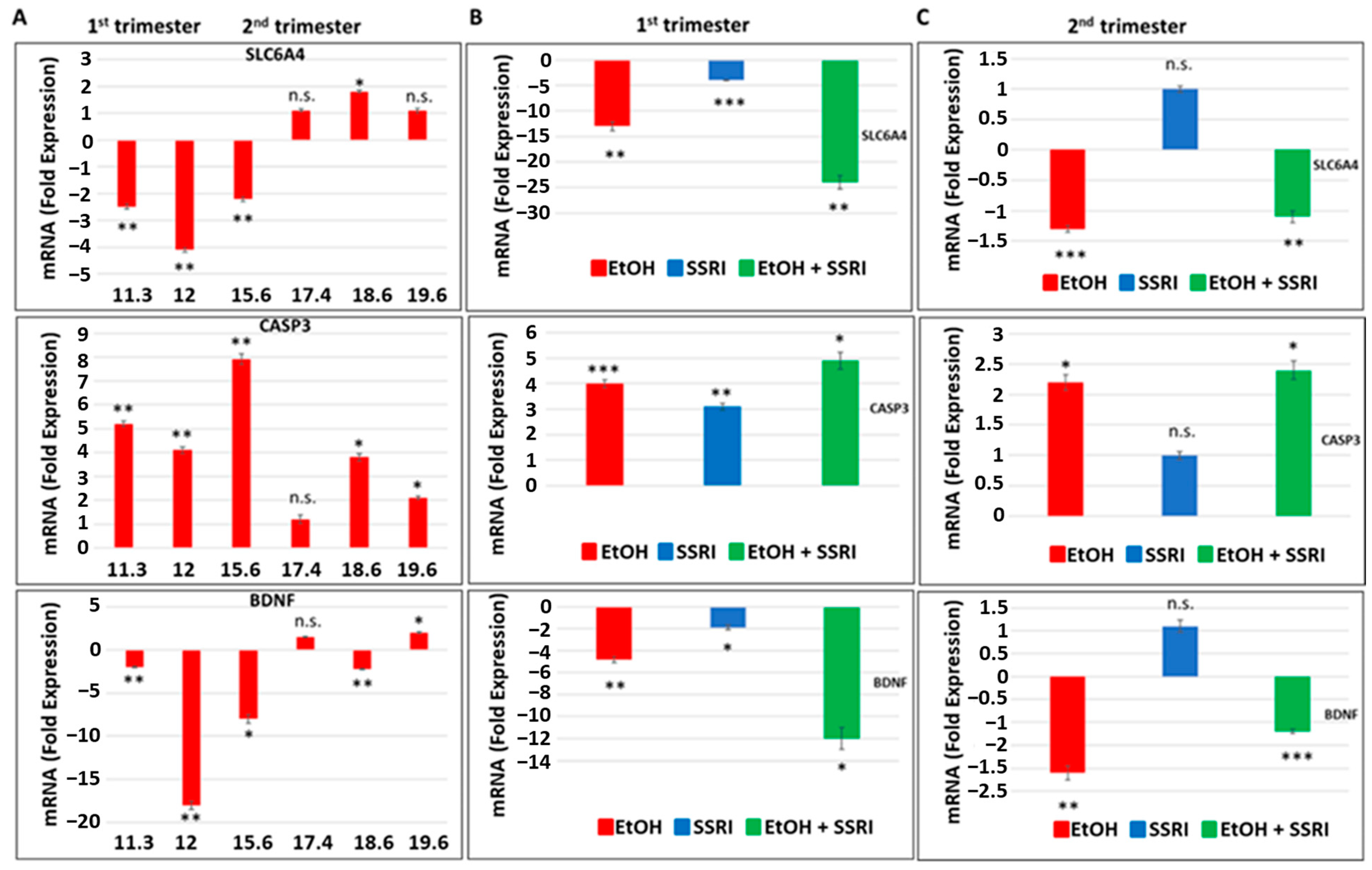 Cells 13 00002 g003 Cells 13 00002 g003