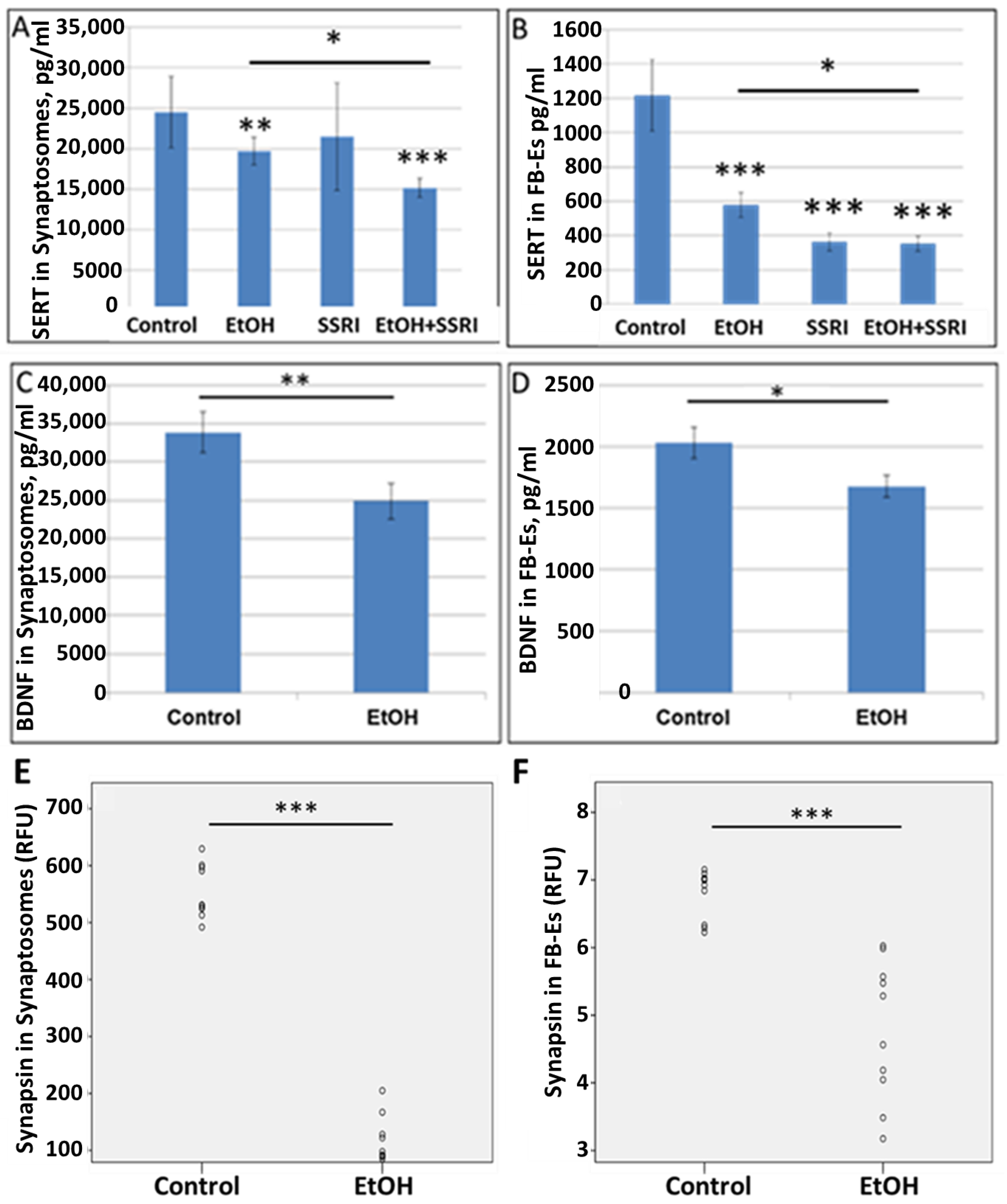 Cells 13 00002 g005 Cells 13 00002 g005