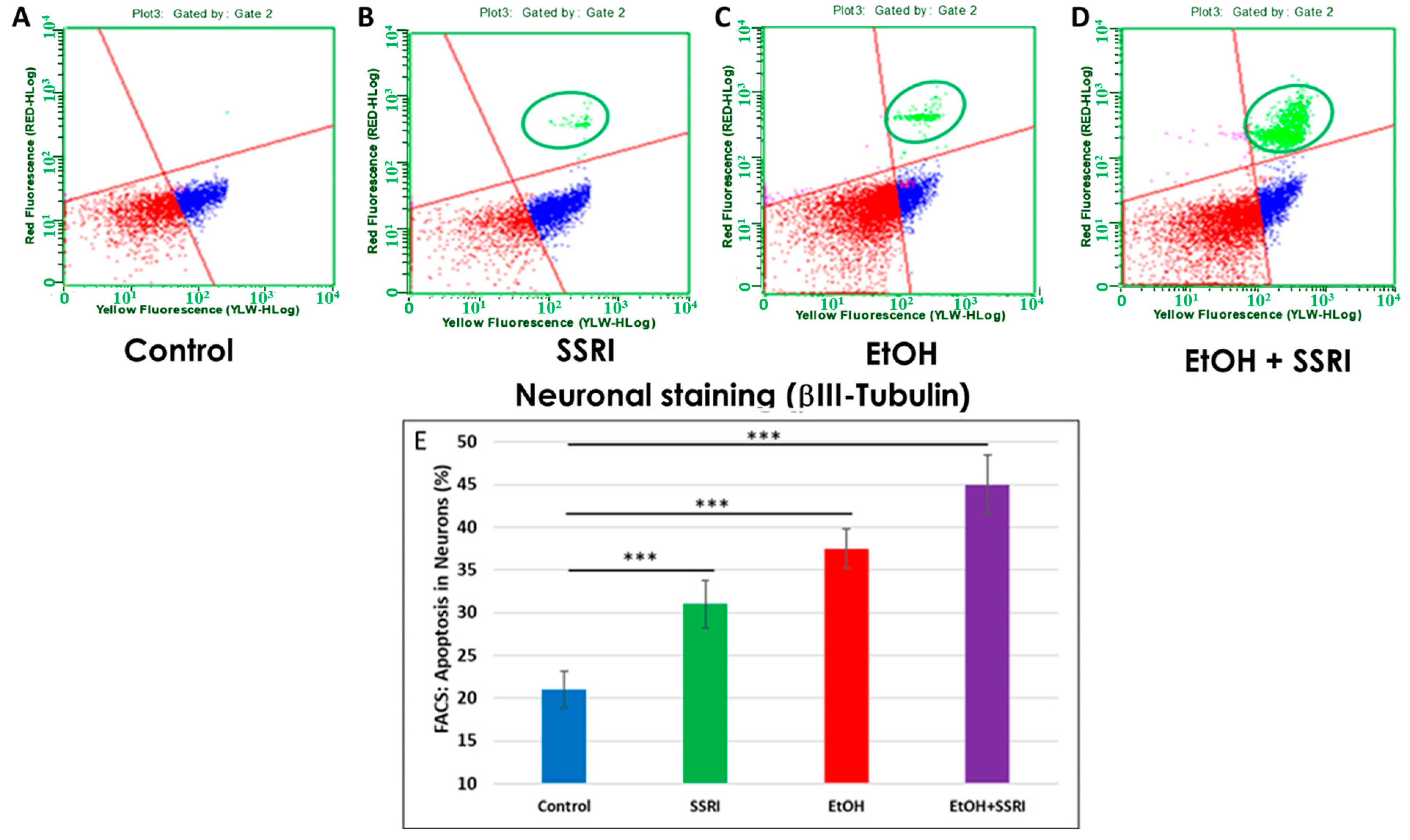 Cells 13 00002 g006 Cells 13 00002 g006