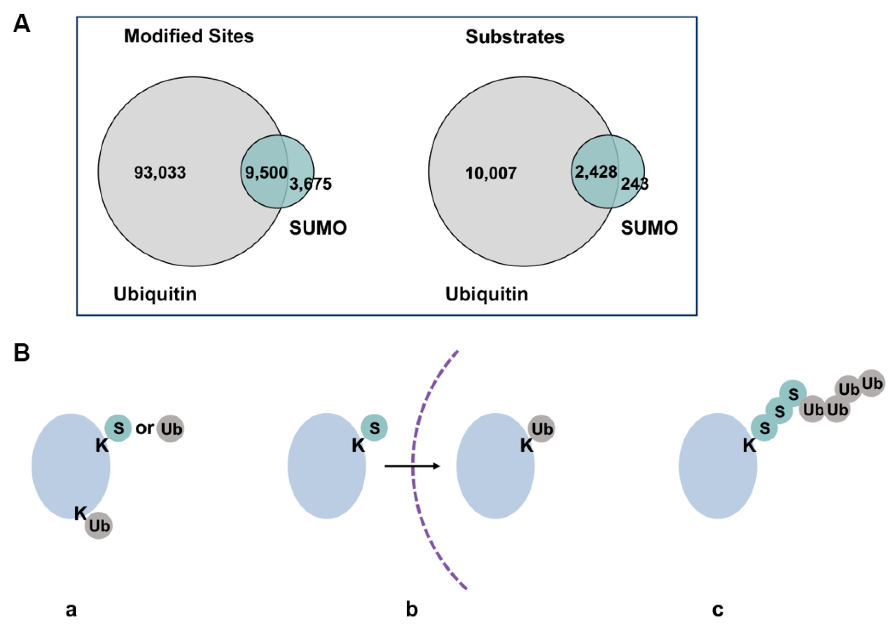 Cells 13 00008 g004 Cells 13 00008 g004