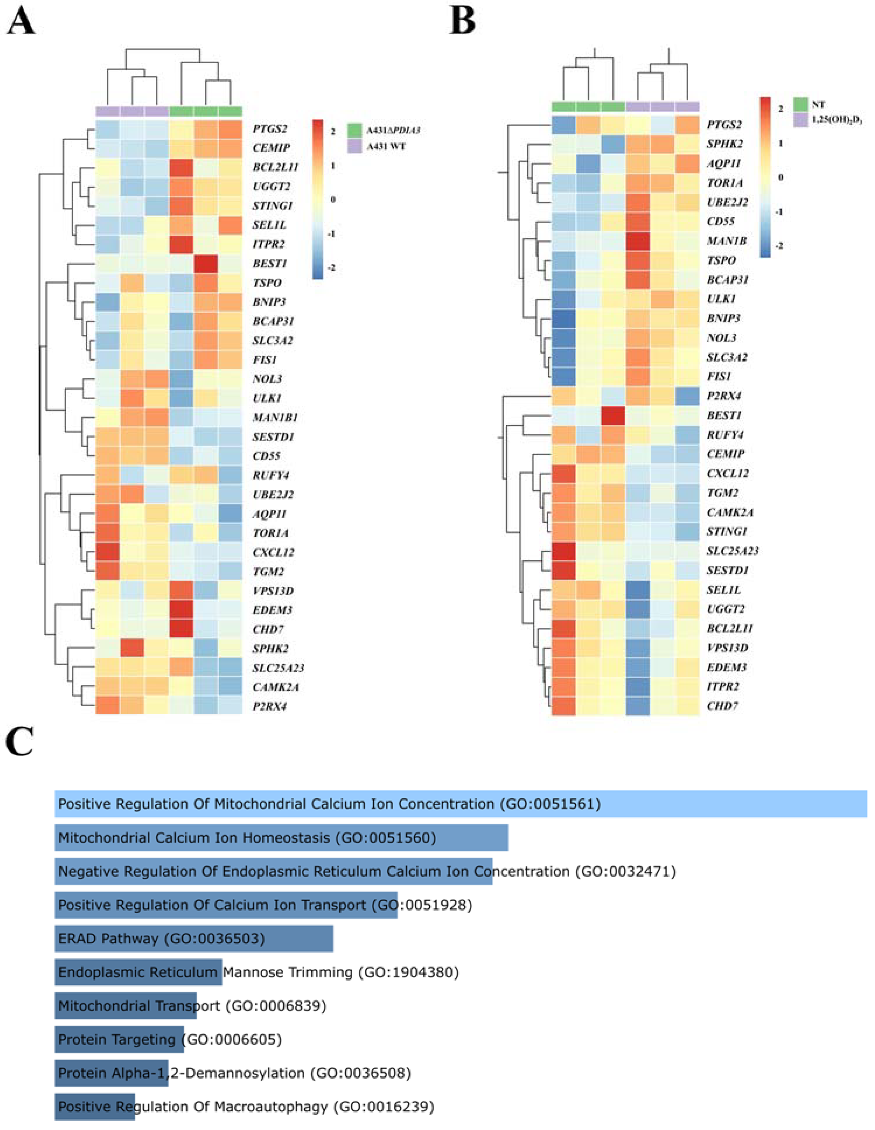 Cells 13 00011 g001 Cells 13 00011 g001