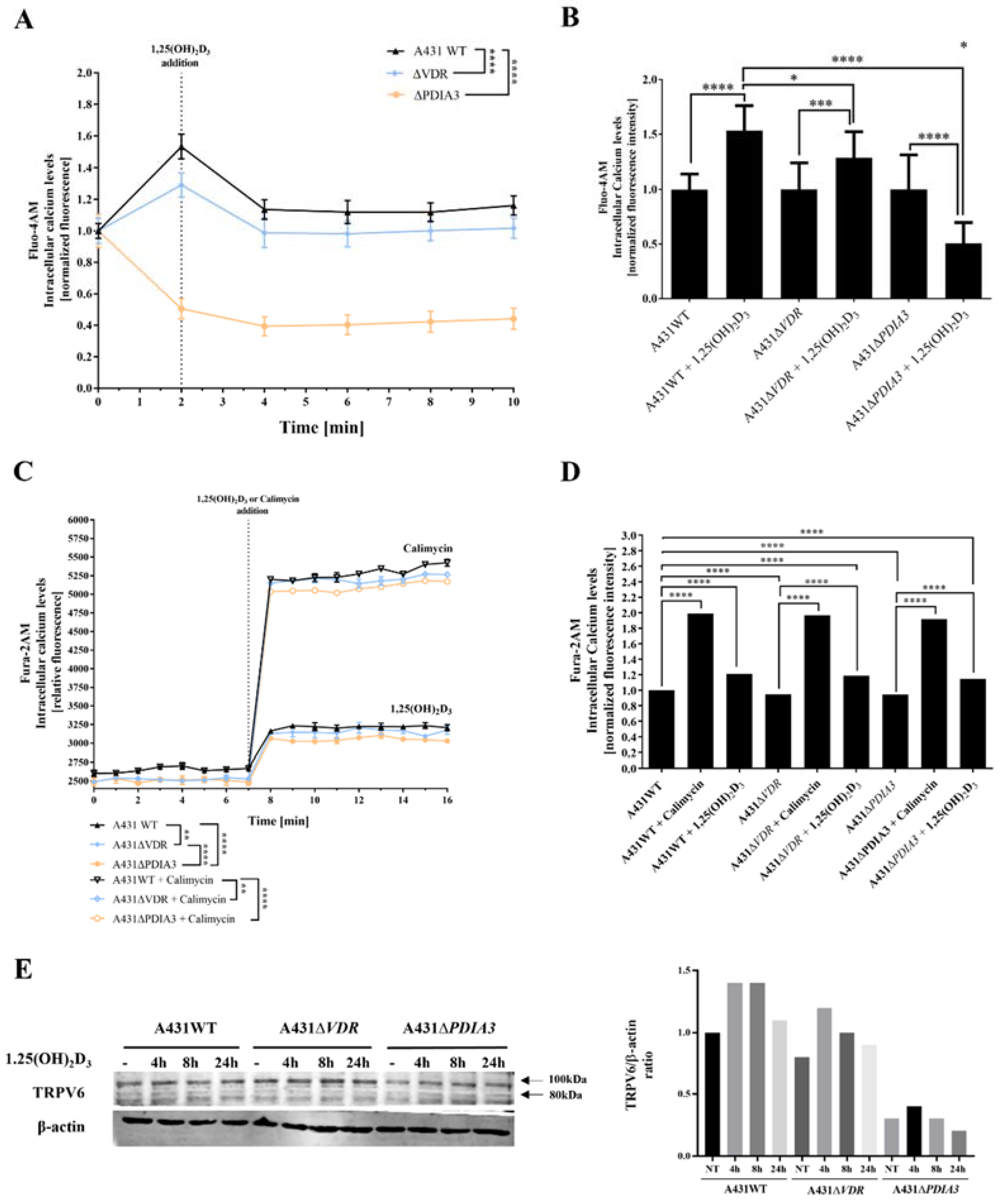 Cells 13 00011 g002 Cells 13 00011 g002