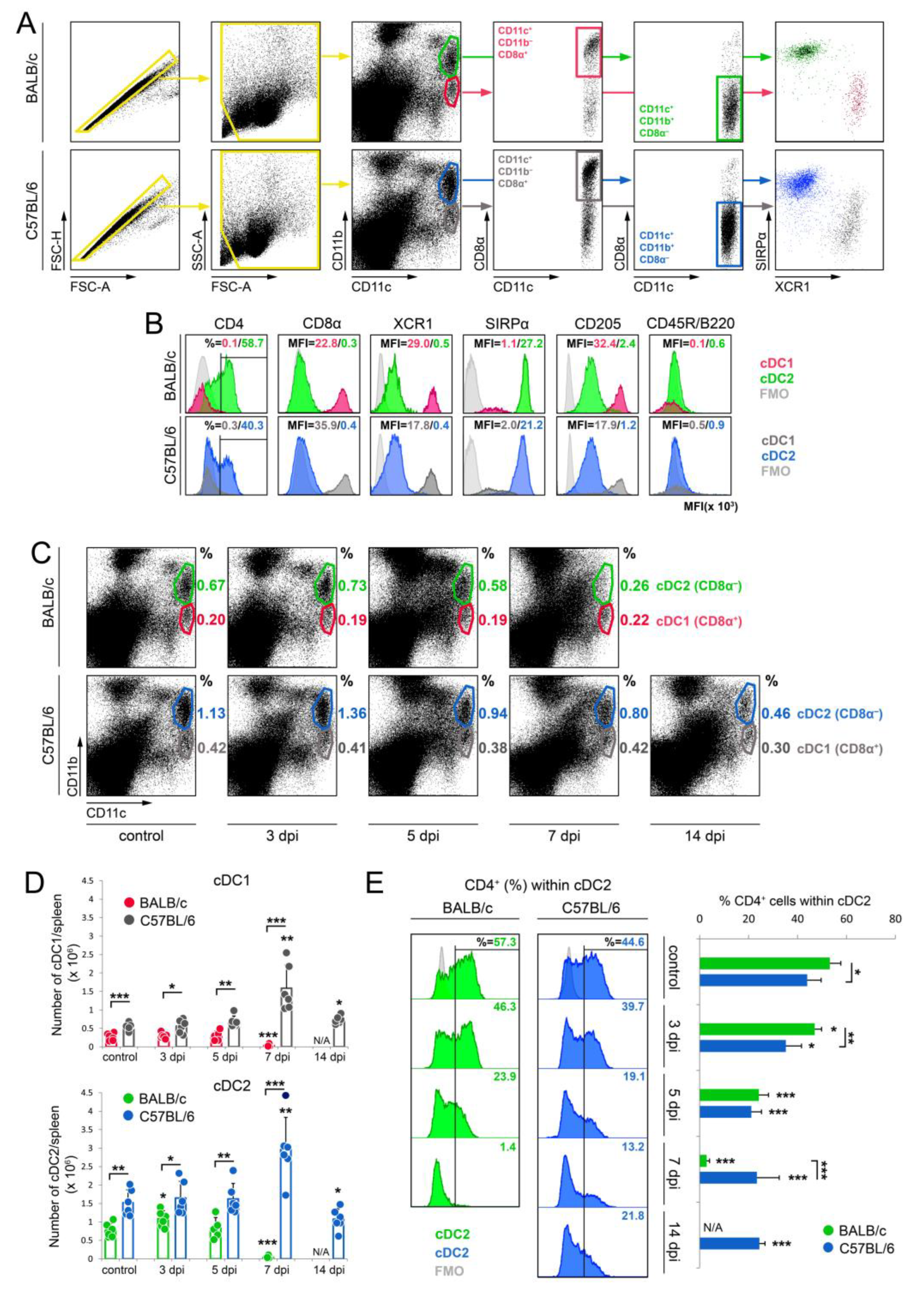 Cells 13 00013 g001 Cells 13 00013 g001