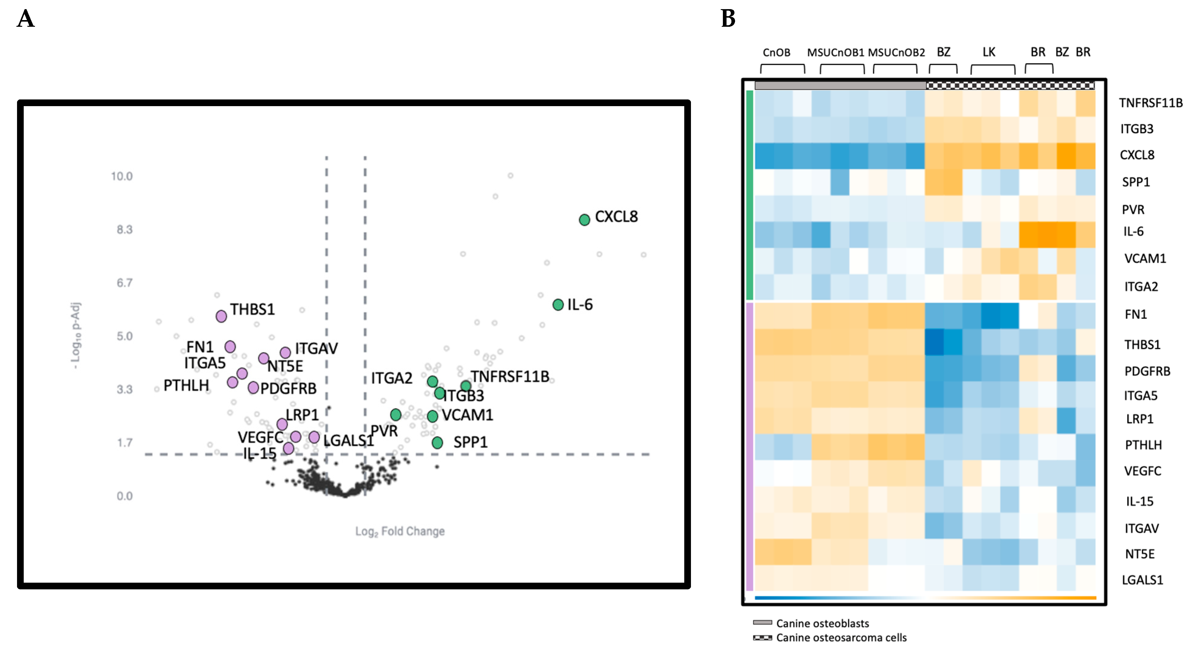 Cells 13 00025 g005 Cells 13 00025 g005