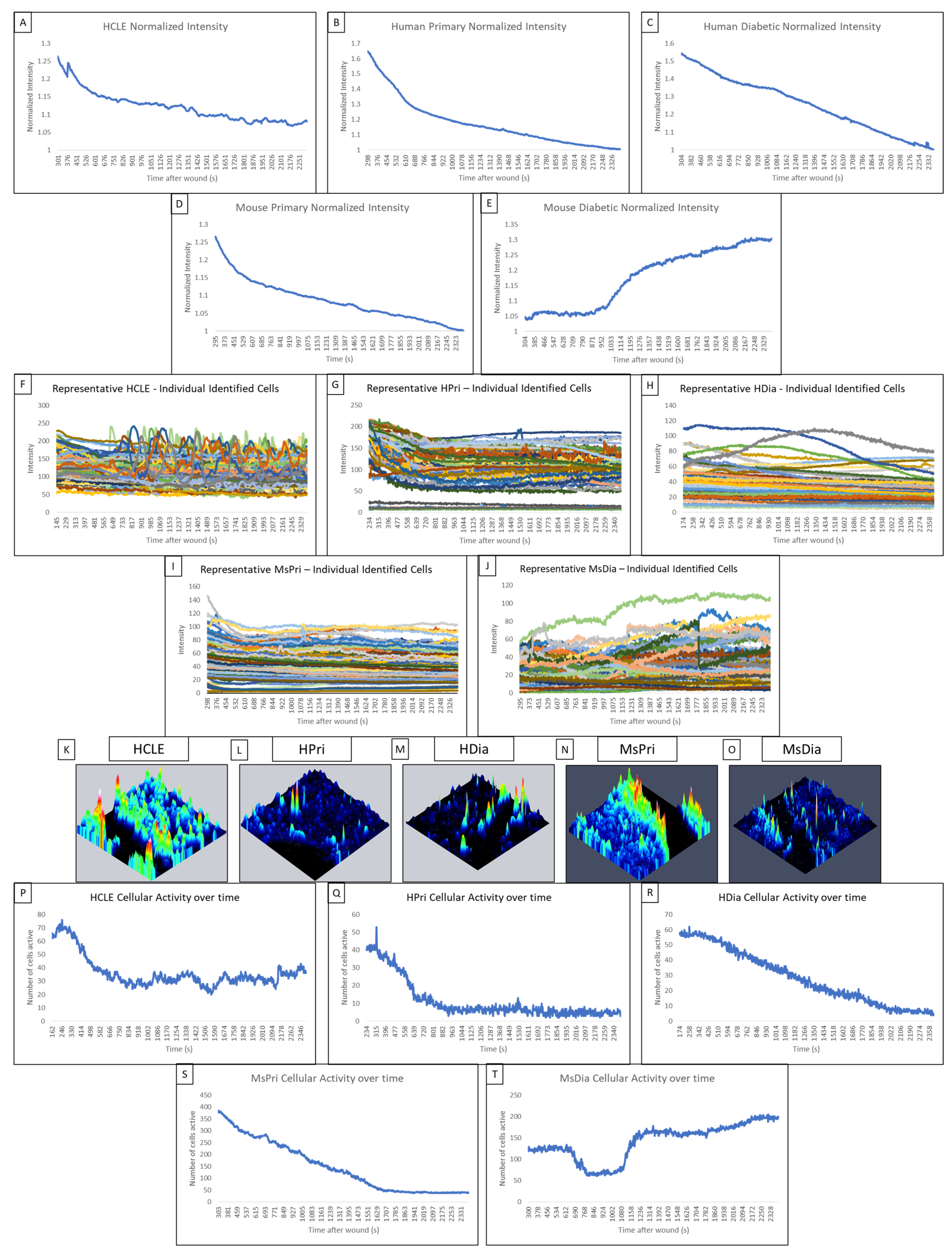 Cells 13 00026 g002 Cells 13 00026 g002