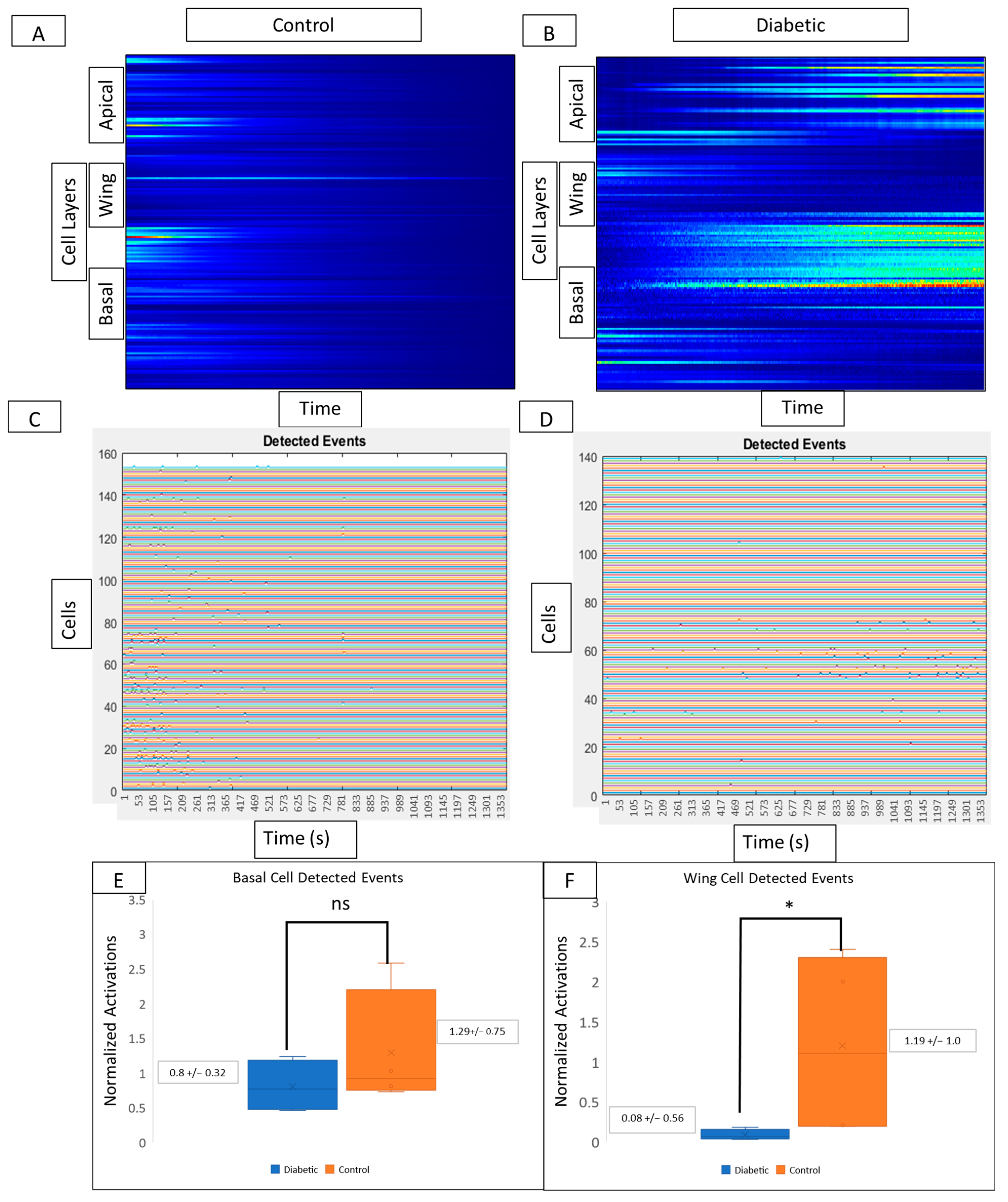 Cells 13 00026 g007 Cells 13 00026 g007