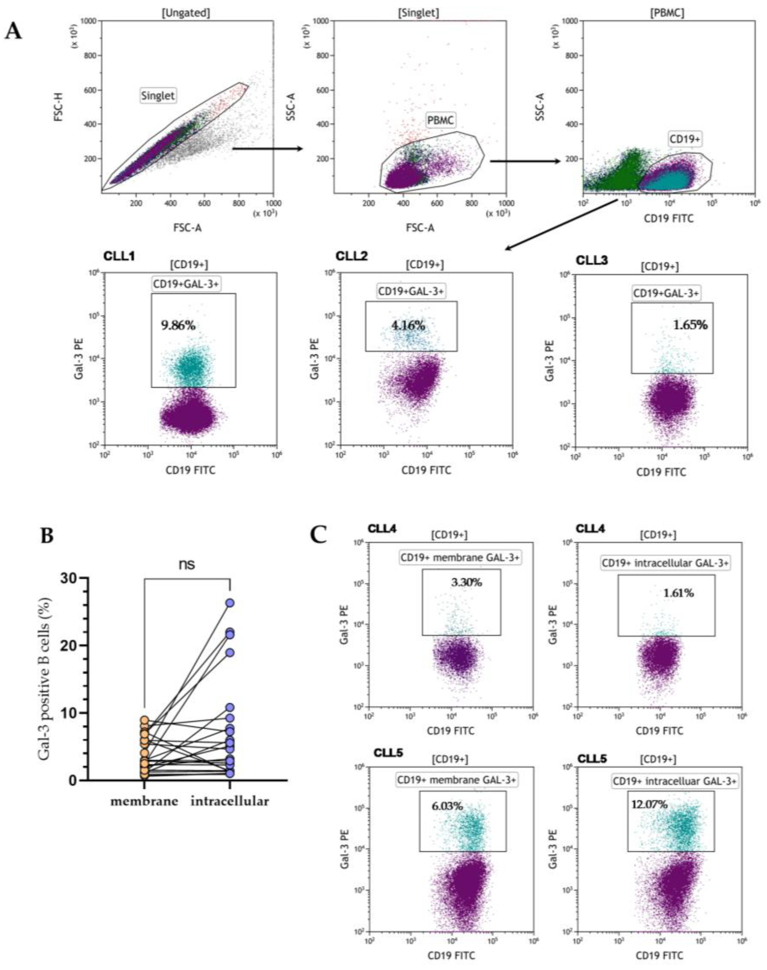 Cells 13 00030 g001 Cells 13 00030 g001