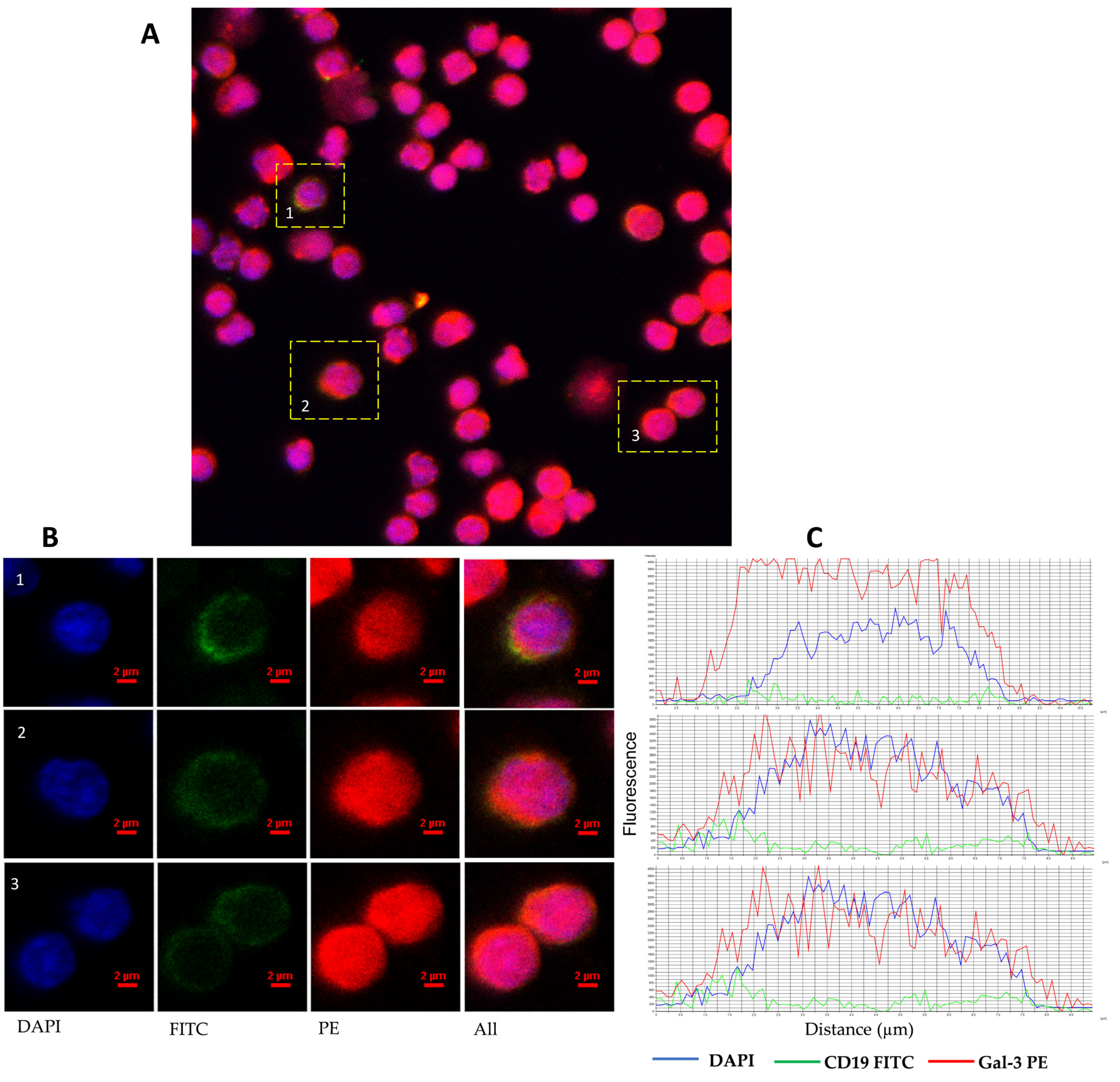 Cells 13 00030 g002 Cells 13 00030 g002