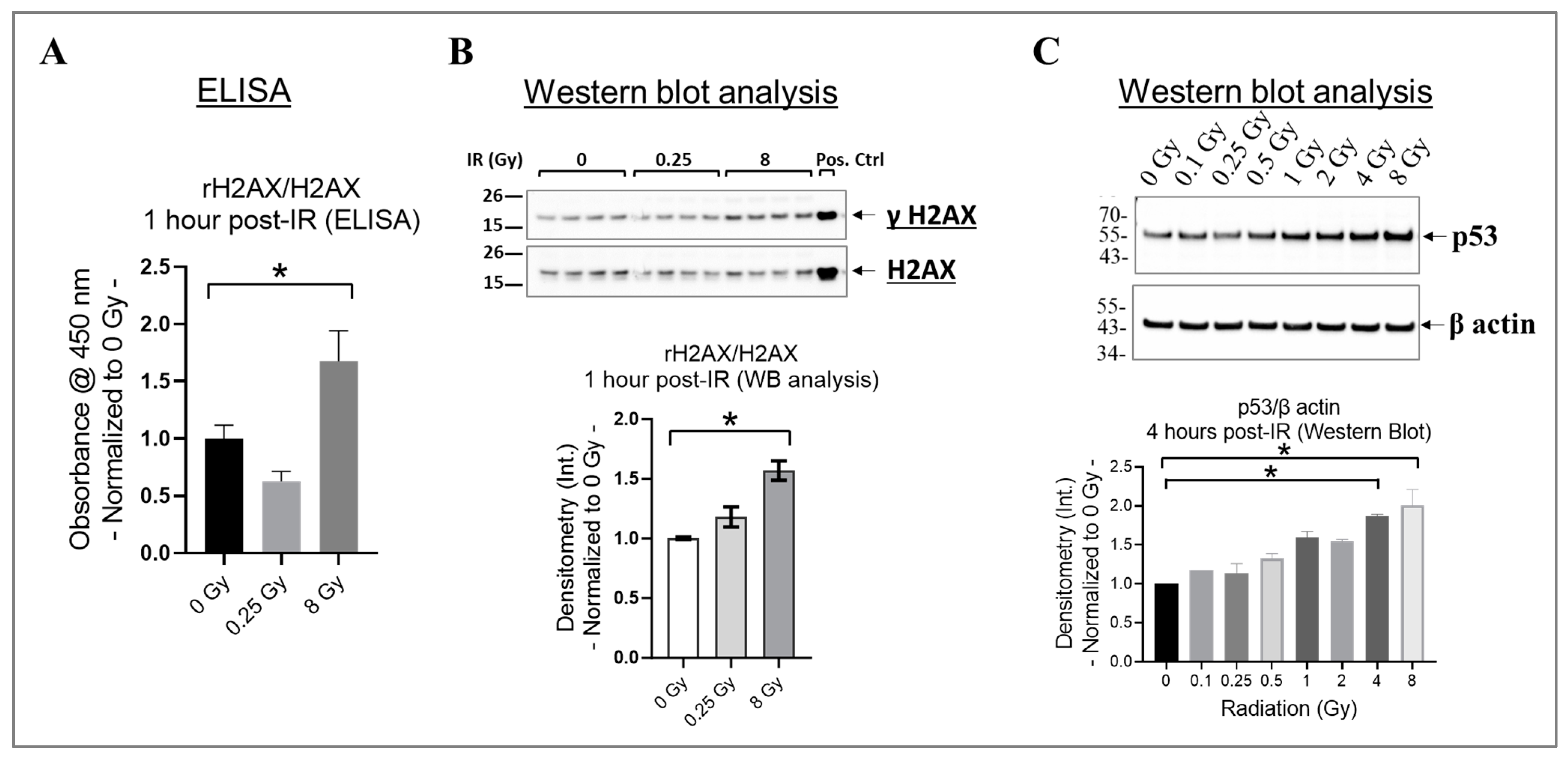 Cells 13 00039 g002 Cells 13 00039 g002
