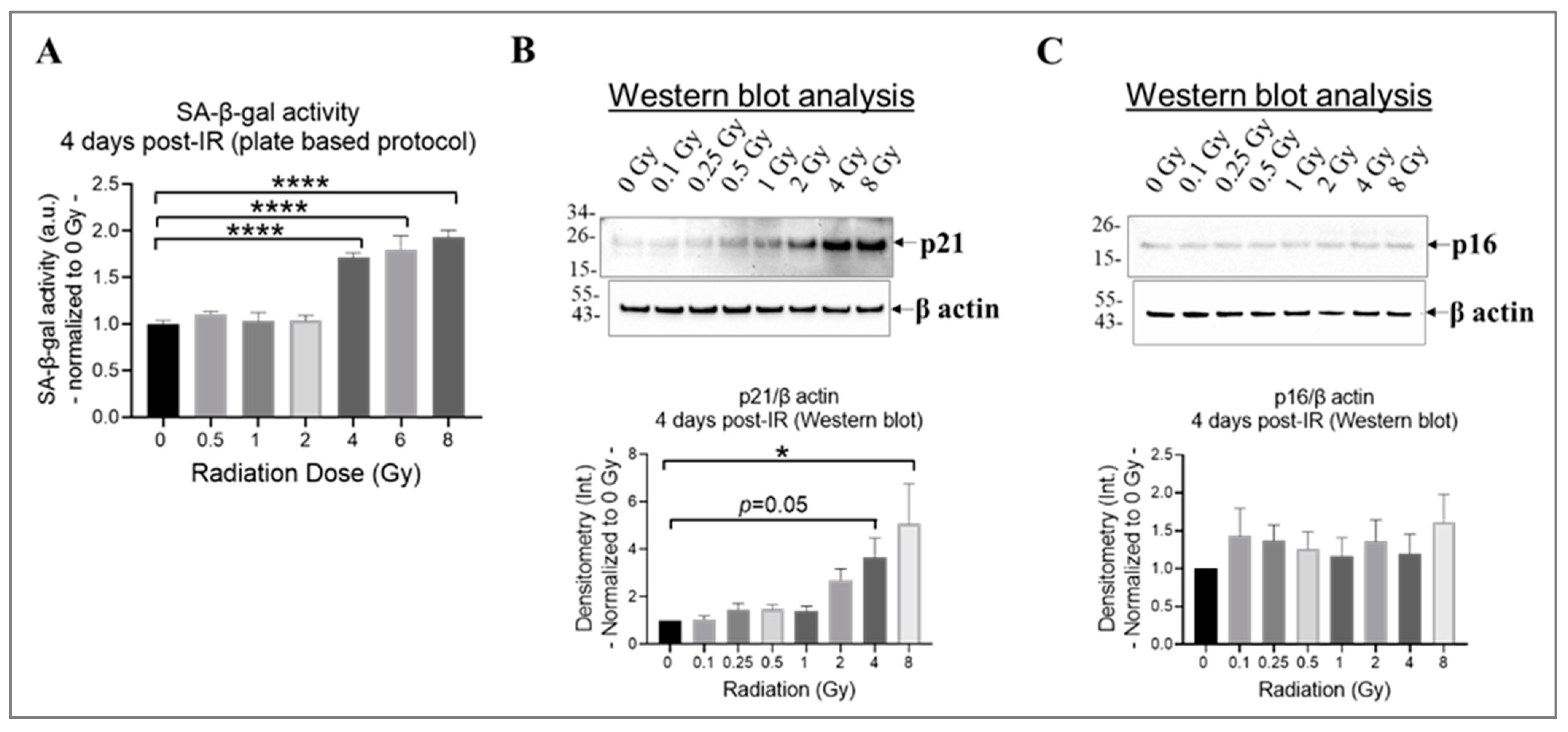 Cells 13 00039 g003 Cells 13 00039 g003