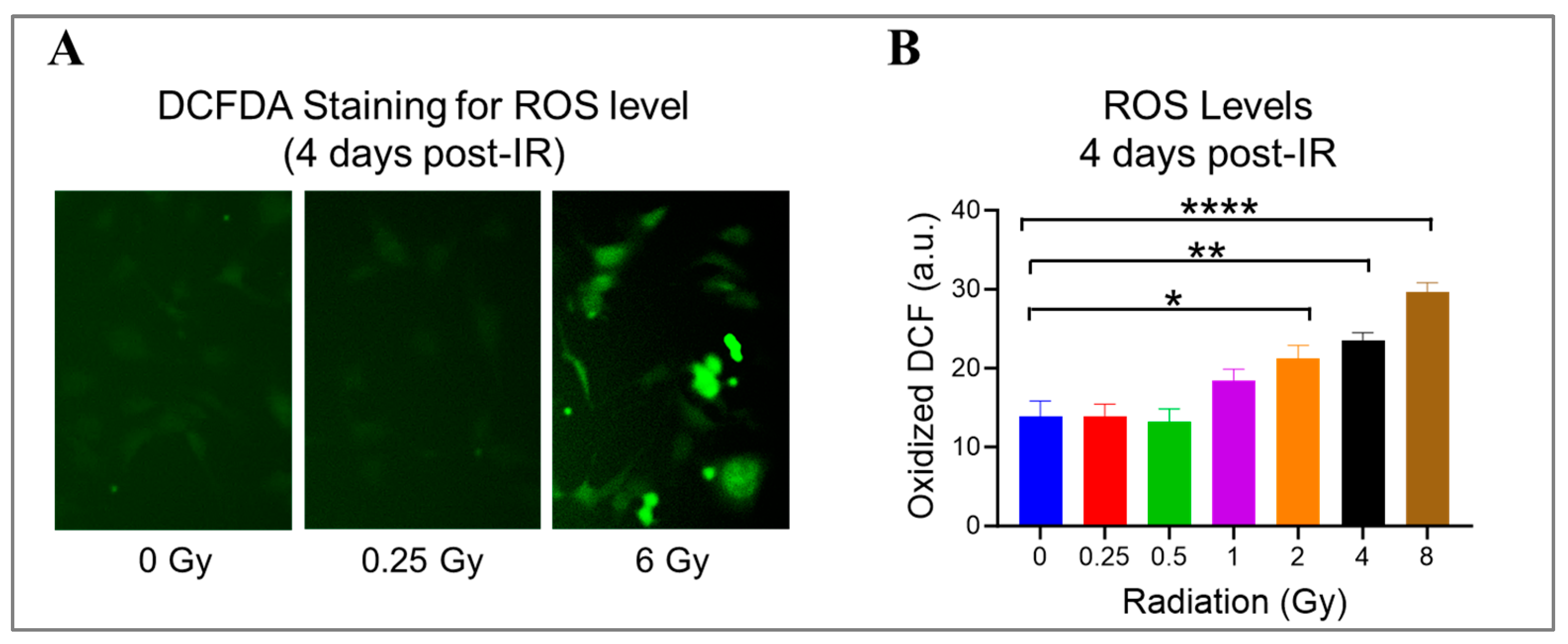 Cells 13 00039 g004 Cells 13 00039 g004