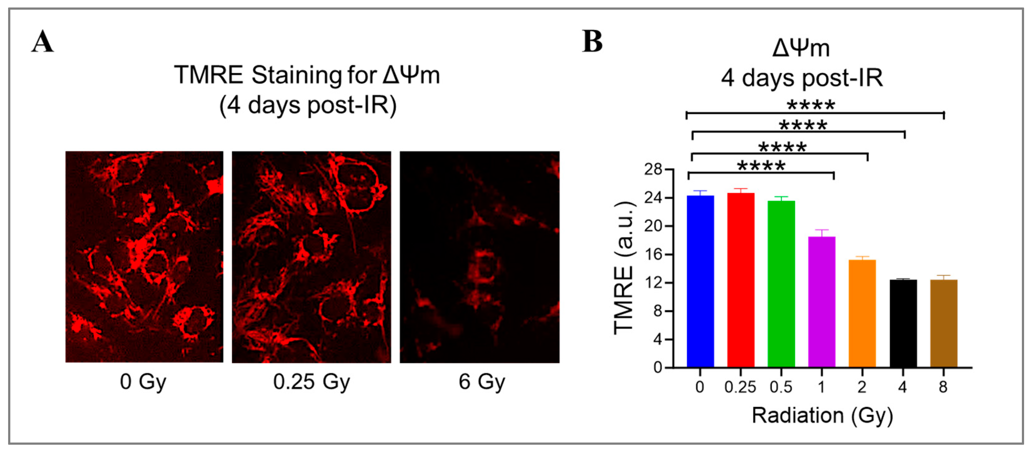 Cells 13 00039 g005 Cells 13 00039 g005