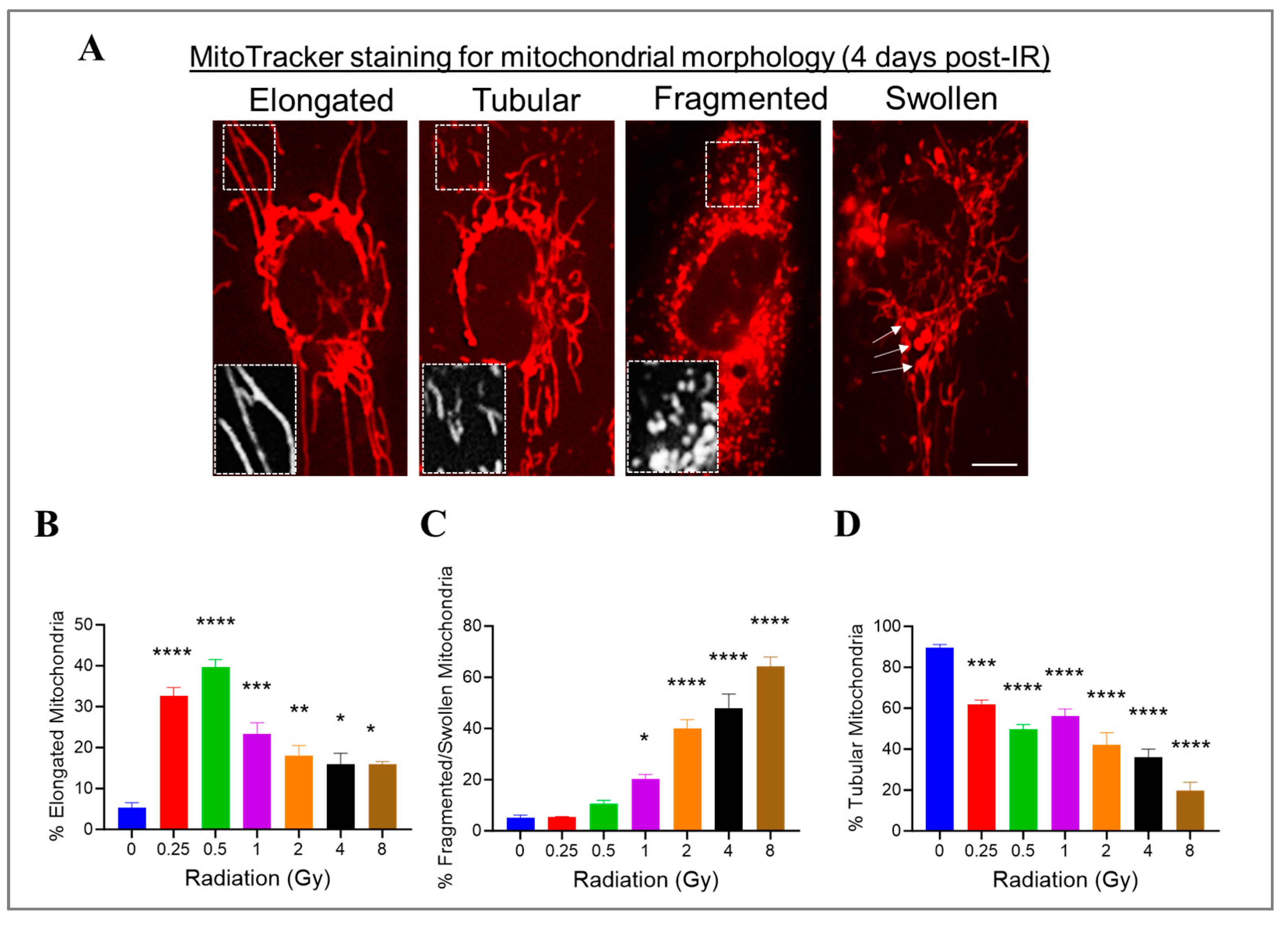Cells 13 00039 g006 Cells 13 00039 g006