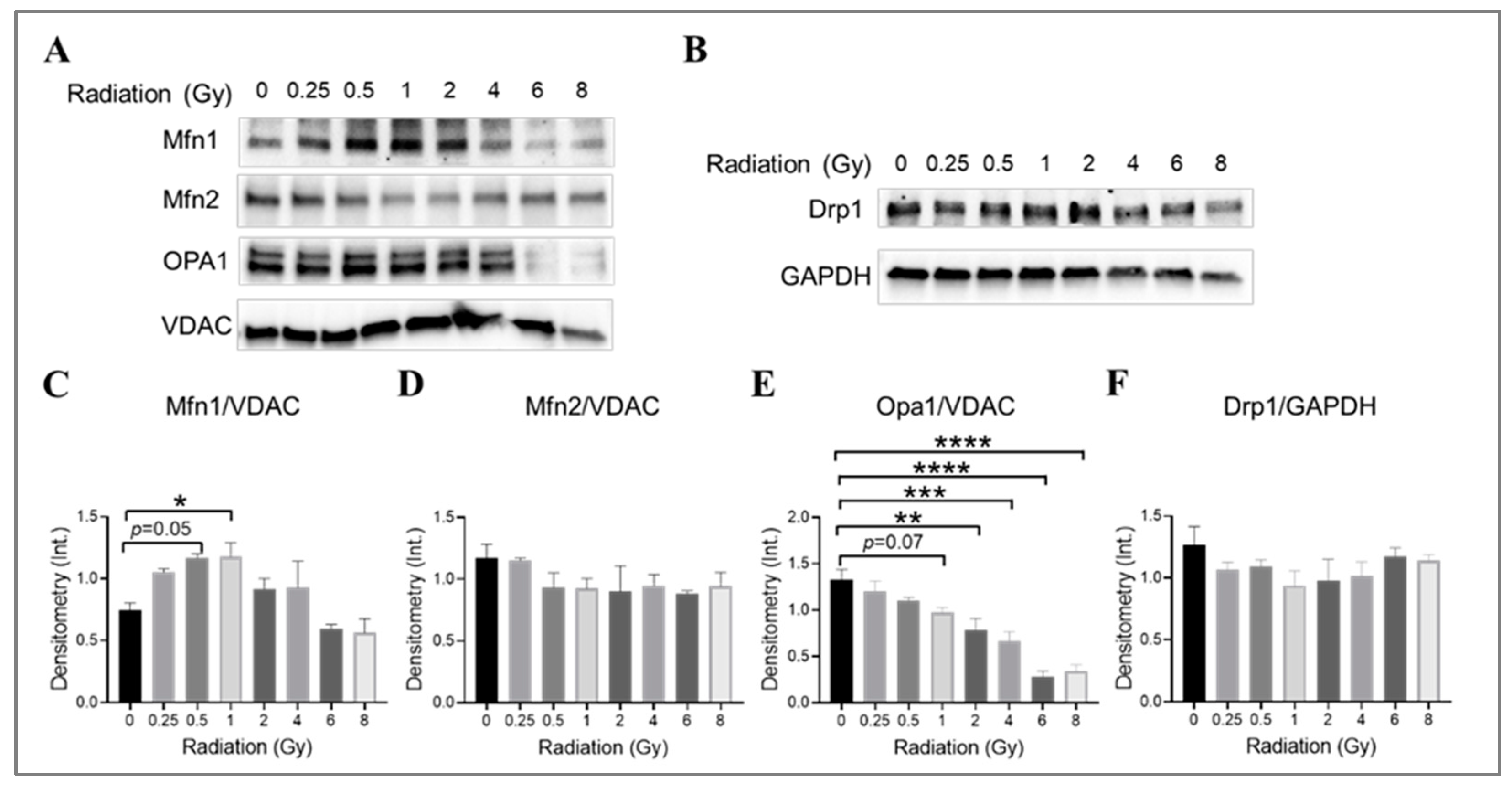 Cells 13 00039 g007 Cells 13 00039 g007