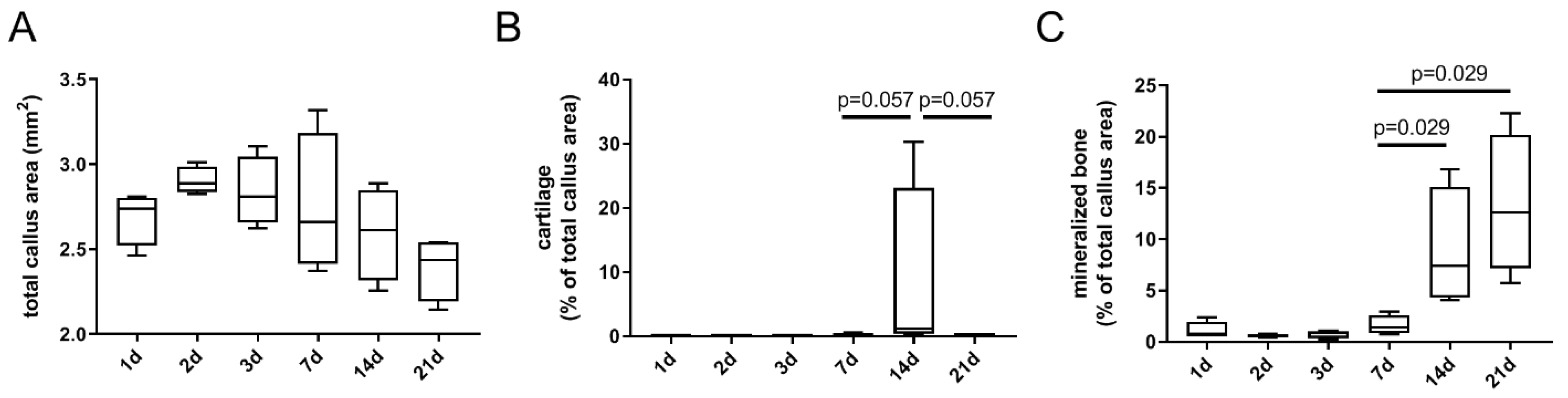 Cells 13 00040 g003 Cells 13 00040 g003