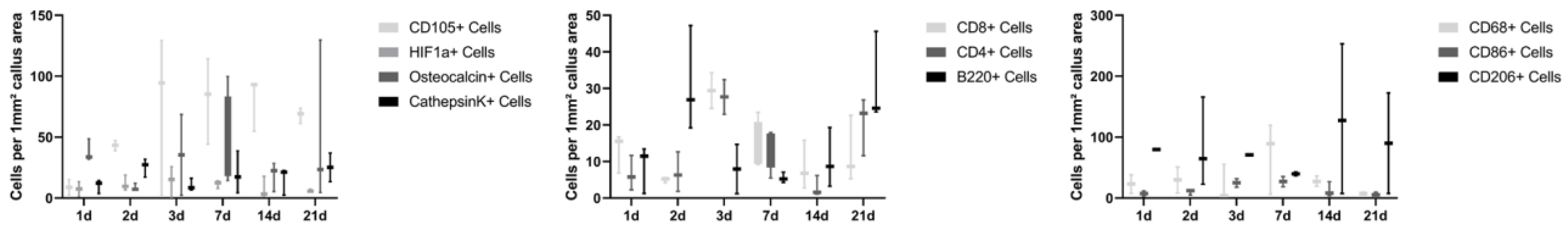 Cells 13 00040 g004 Cells 13 00040 g004